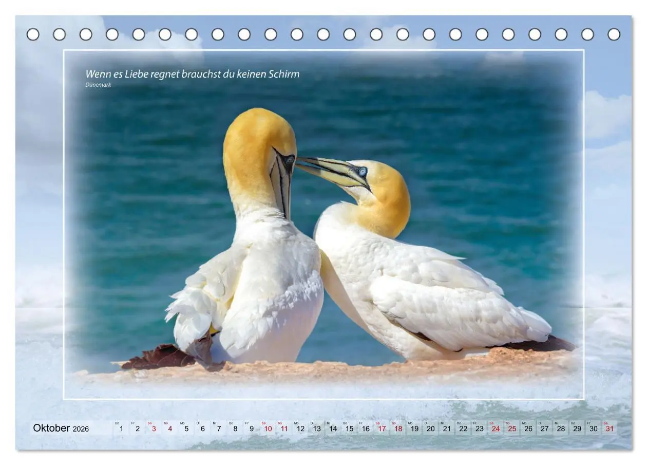 Bild: 9783457673614 | Insel Gedanken (Tischkalender 2026 DIN A5 quer), CALVENDO...