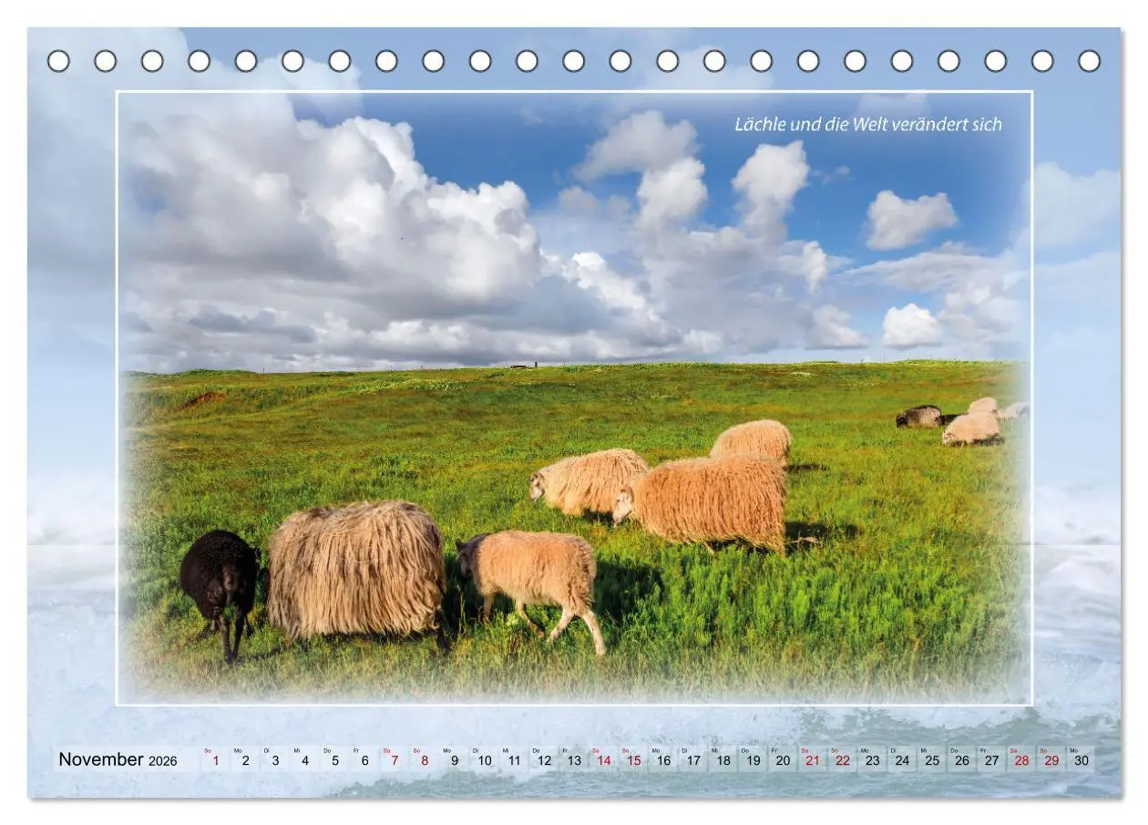 Bild: 9783457673614 | Insel Gedanken (Tischkalender 2026 DIN A5 quer), CALVENDO...