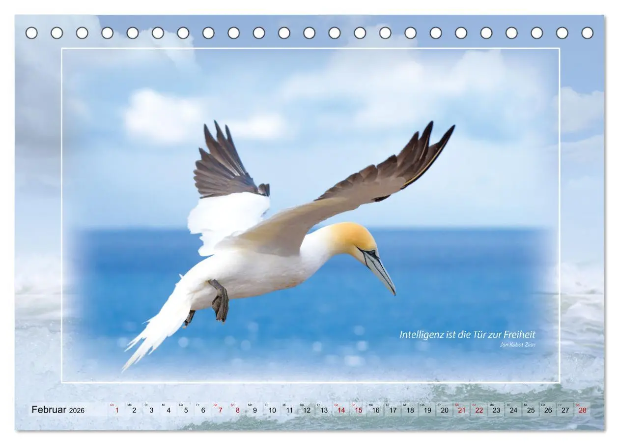 Bild: 9783457673614 | Insel Gedanken (Tischkalender 2026 DIN A5 quer), CALVENDO...