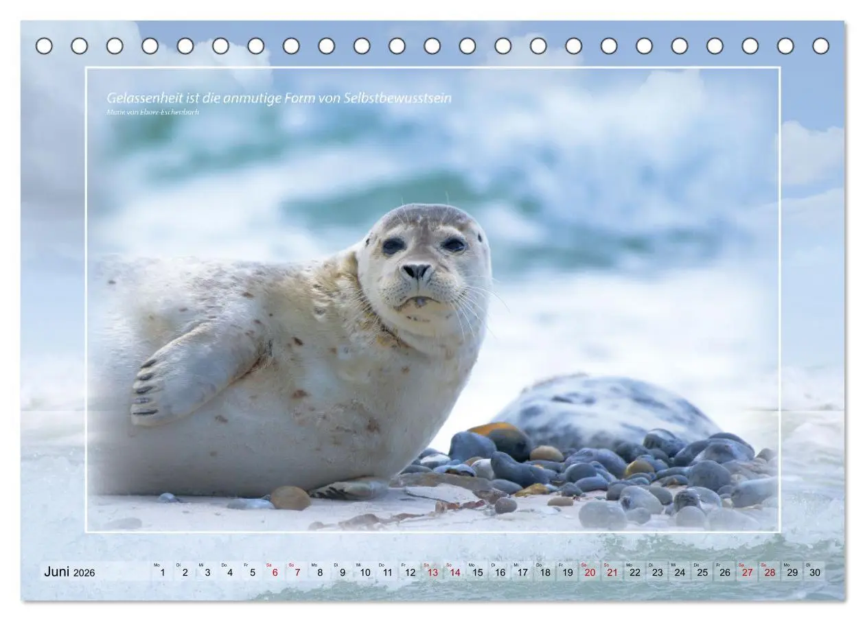 Bild: 9783457673614 | Insel Gedanken (Tischkalender 2026 DIN A5 quer), CALVENDO...