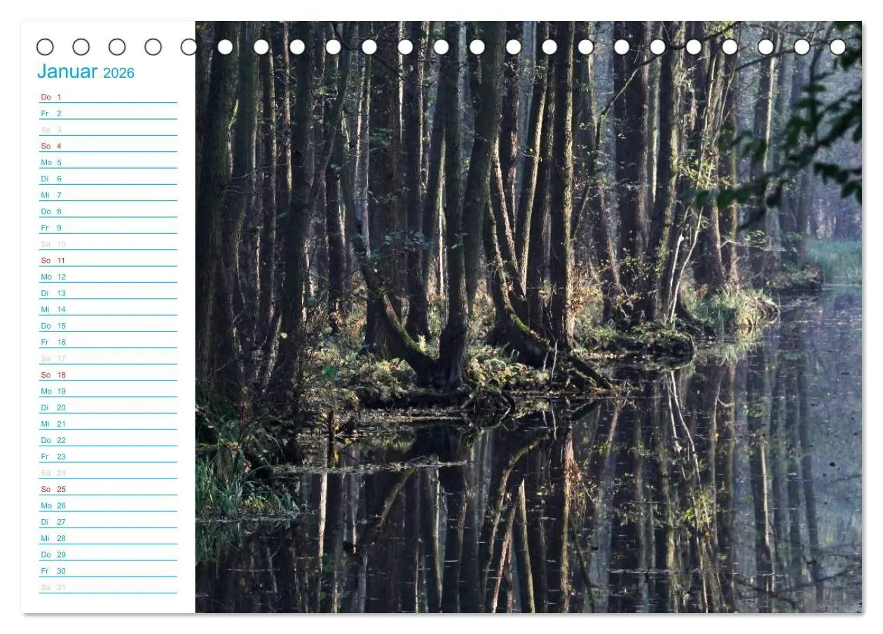 Bild: 9783457983614 | Wunderschöner Spreewald (Tischkalender 2026 DIN A5 quer), CALVENDO...