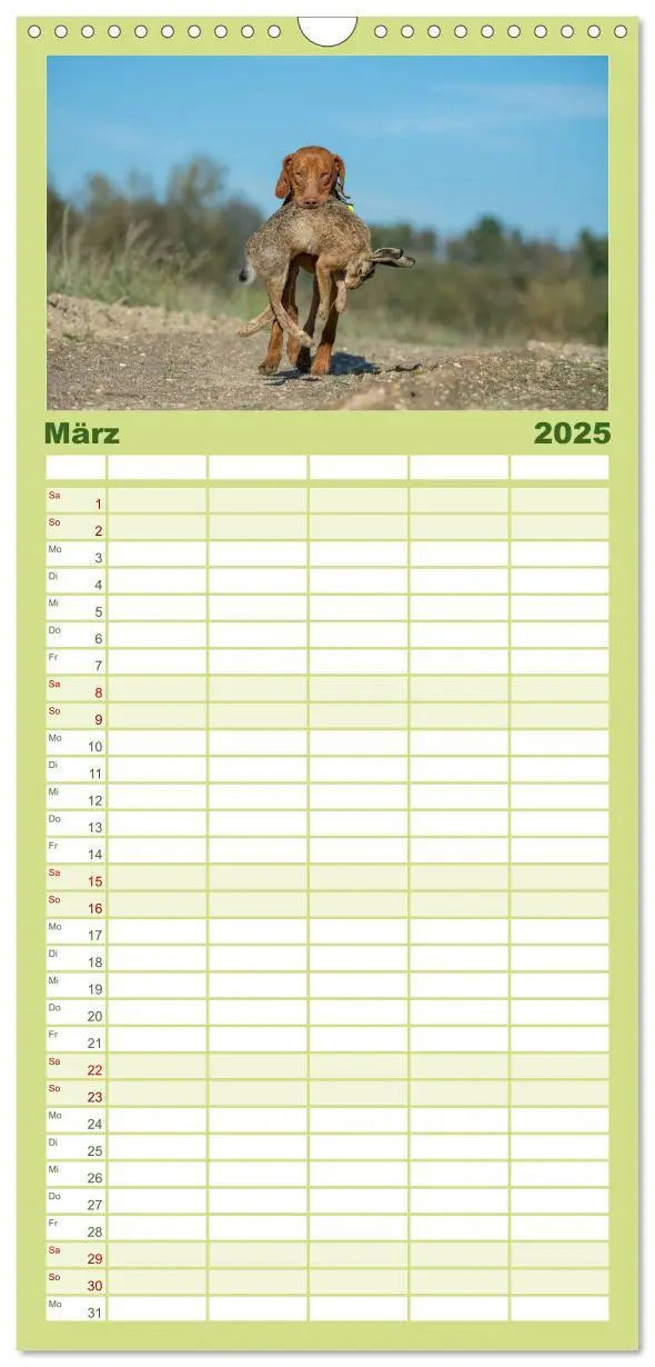 Bild: 9783457113714 | Familienplaner 2025 - Jagdhunde bei der Arbeit mit 5 Spalten...