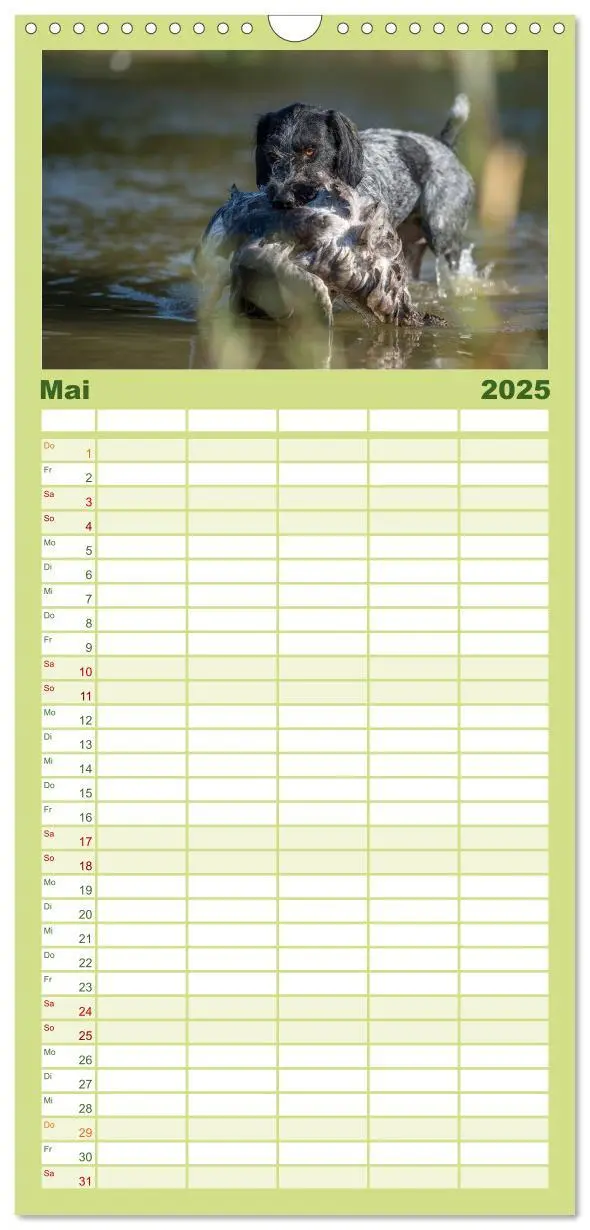 Bild: 9783457113714 | Familienplaner 2025 - Jagdhunde bei der Arbeit mit 5 Spalten...
