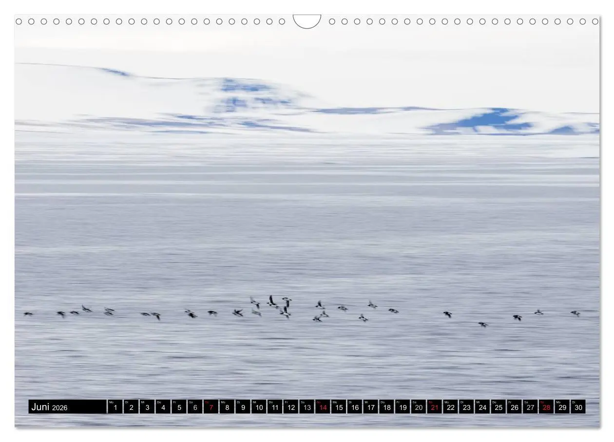 Bild: 9783457973714 | Spitzbergen - Arktische Impressionen (Wandkalender 2026 DIN A3...