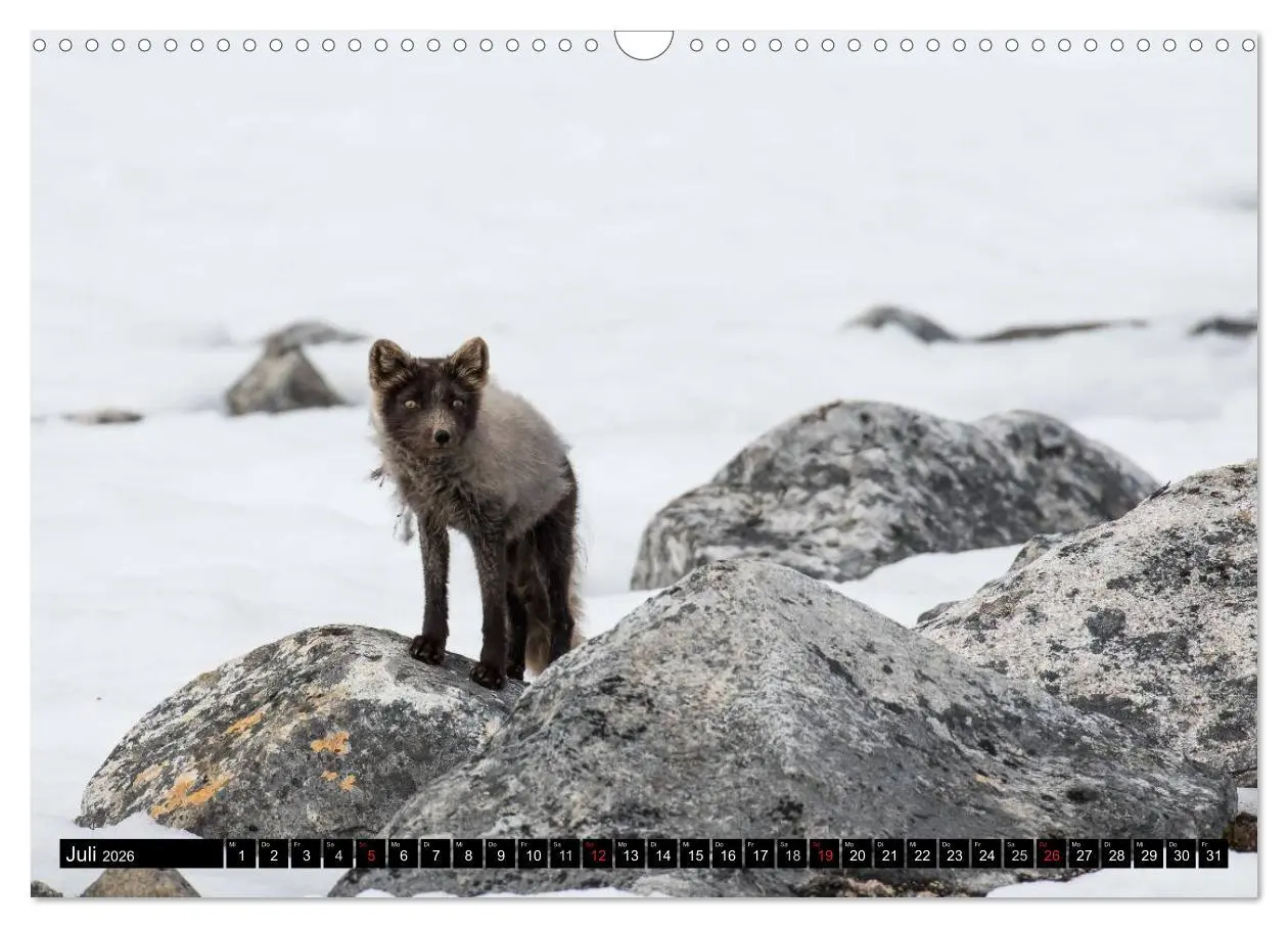 Bild: 9783457973714 | Spitzbergen - Arktische Impressionen (Wandkalender 2026 DIN A3...