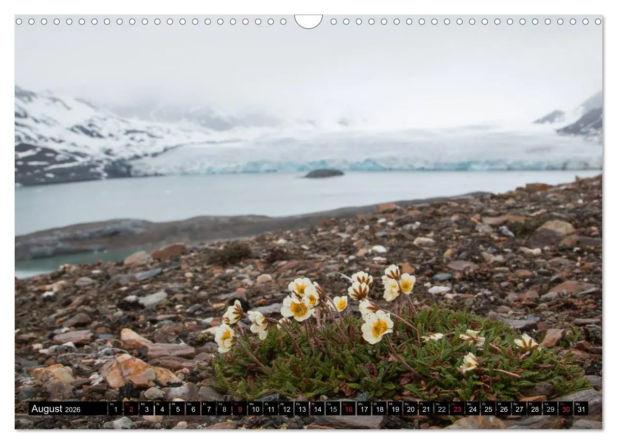 Bild: 9783457973714 | Spitzbergen - Arktische Impressionen (Wandkalender 2026 DIN A3...