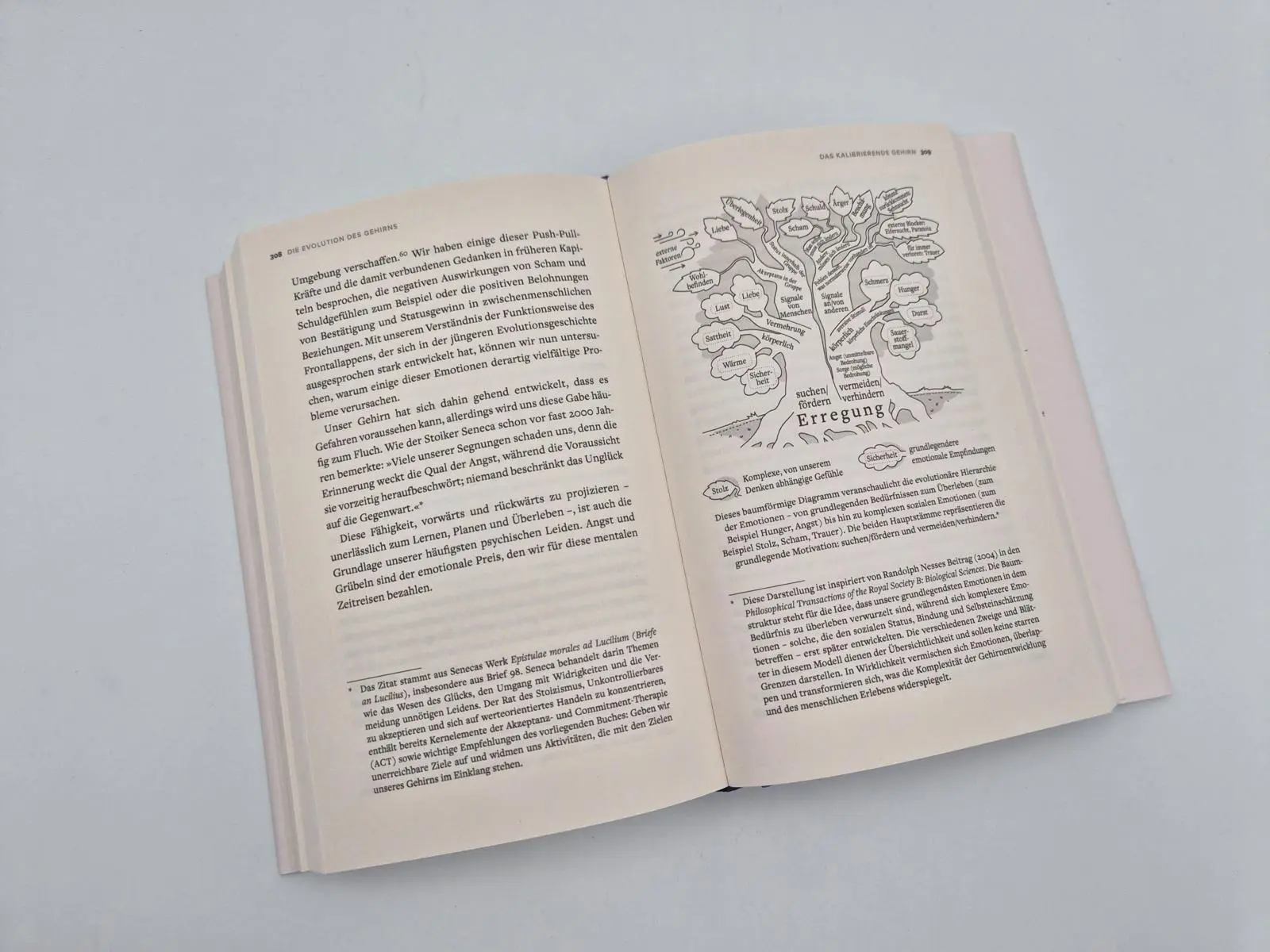 Bild: 9783492073714 | Die Evolution des Gehirns | Paul Goldsmith | Buch | 432 S. | Deutsch
