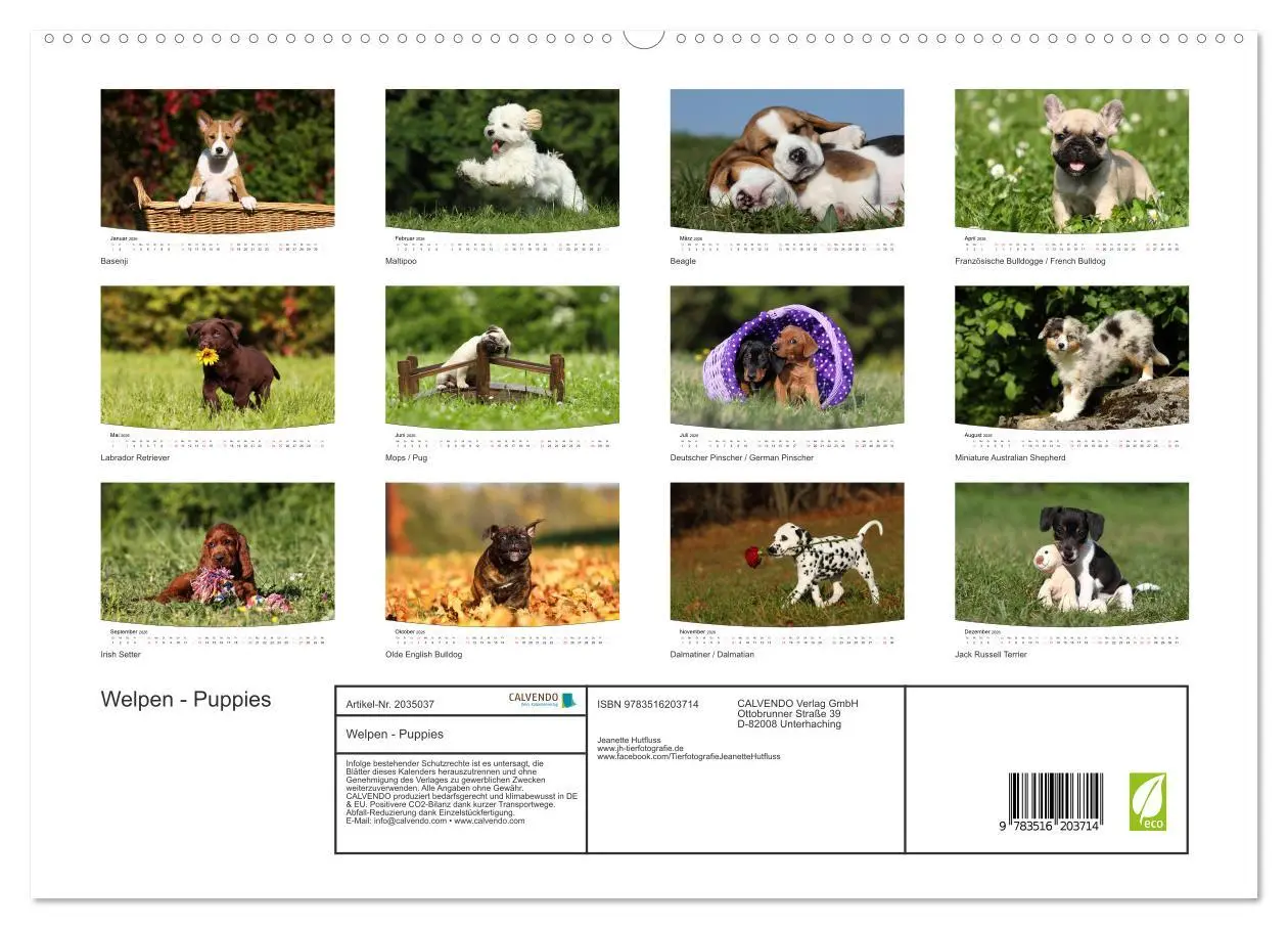 Bild: 9783516203714 | Welpen - Puppies (hochwertiger Premium Wandkalender 2026 DIN A2...