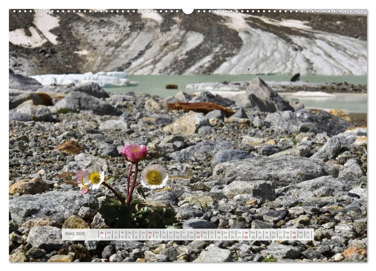 Bild: 9783457653814 | Hoch oben in den Ötztaler Alpen (hochwertiger Premium Wandkalender...