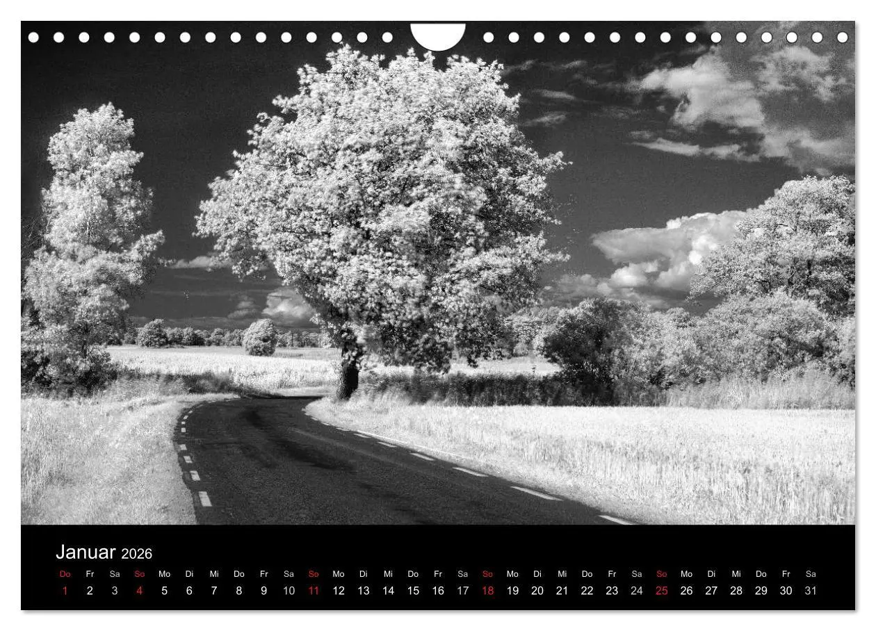 Bild: 9783516053814 | Objekte in schwarz weiss (Wandkalender 2026 DIN A4 quer), CALVENDO...
