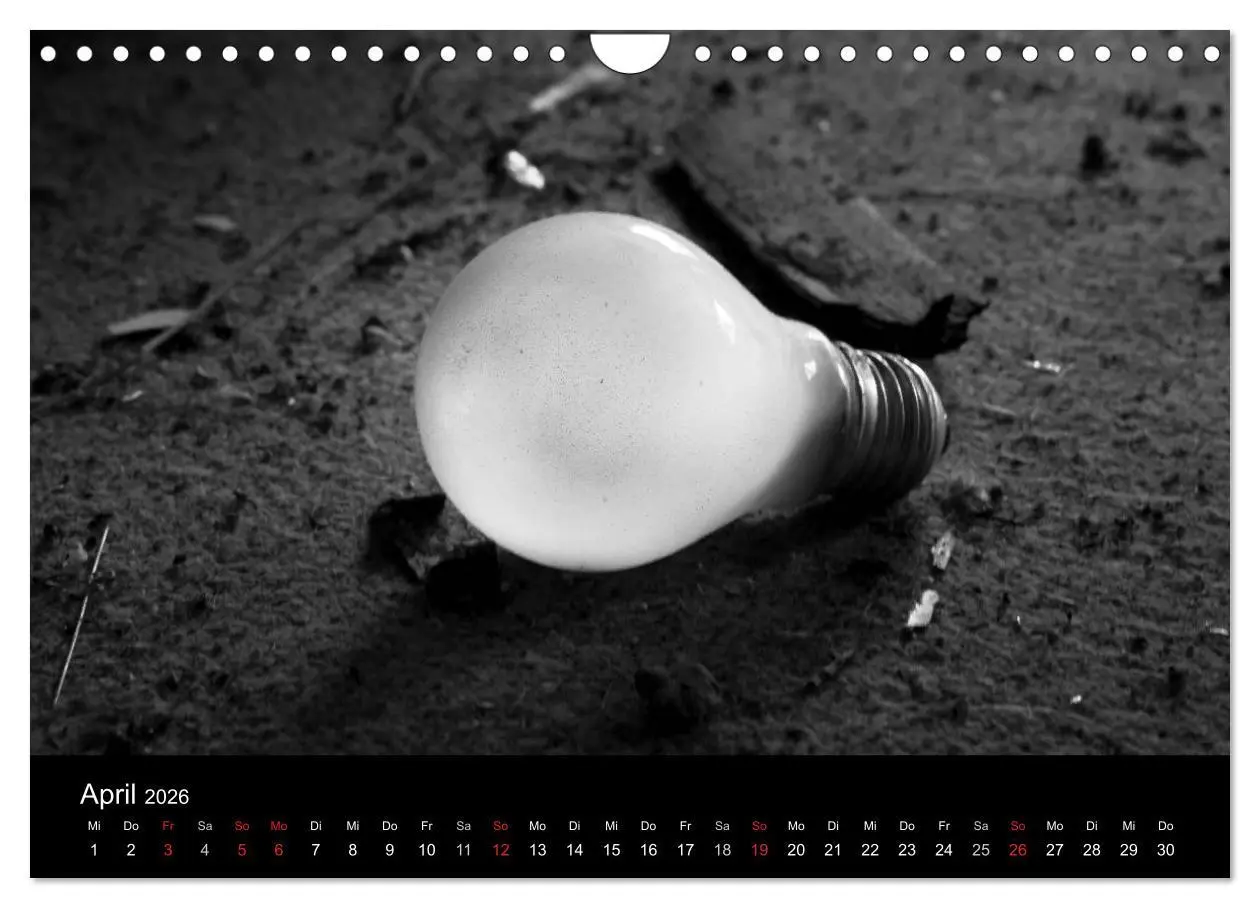 Bild: 9783516053814 | Objekte in schwarz weiss (Wandkalender 2026 DIN A4 quer), CALVENDO...