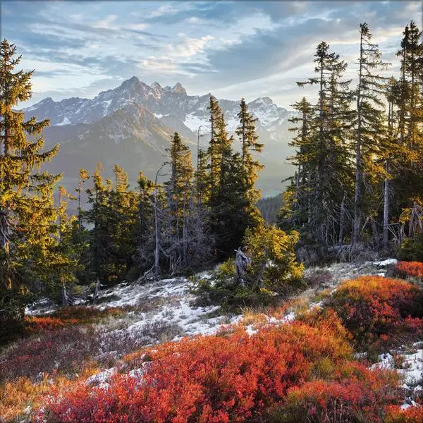Bild: 9783731883814 | Alpen 2026 | Broschürenkalender mit Ferienterminen. Format: 30 x 30 cm