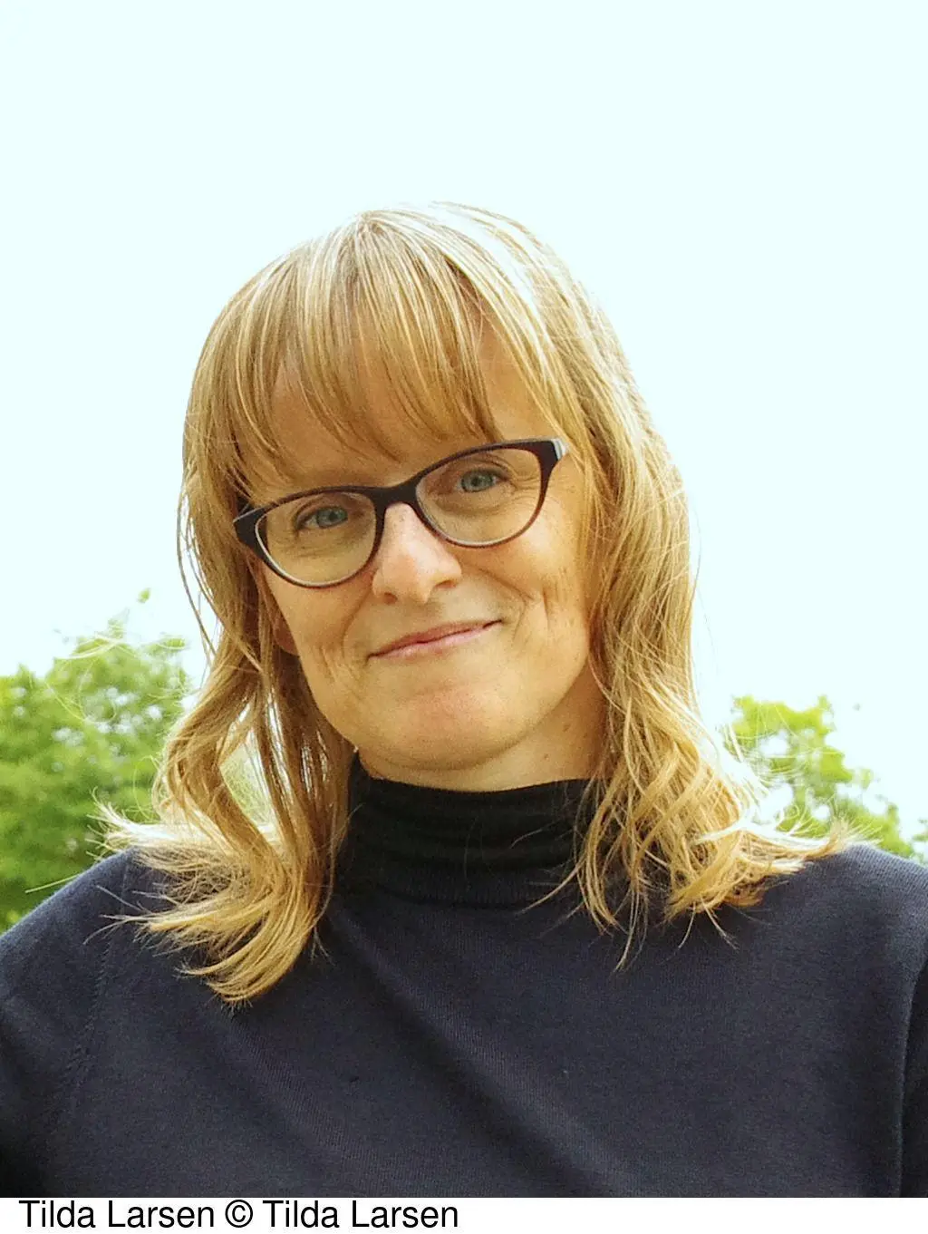 Autor: 9783741303814 | Möwen, Strand und Küstentod - Die verschollene Meerjungfrau | Larsen