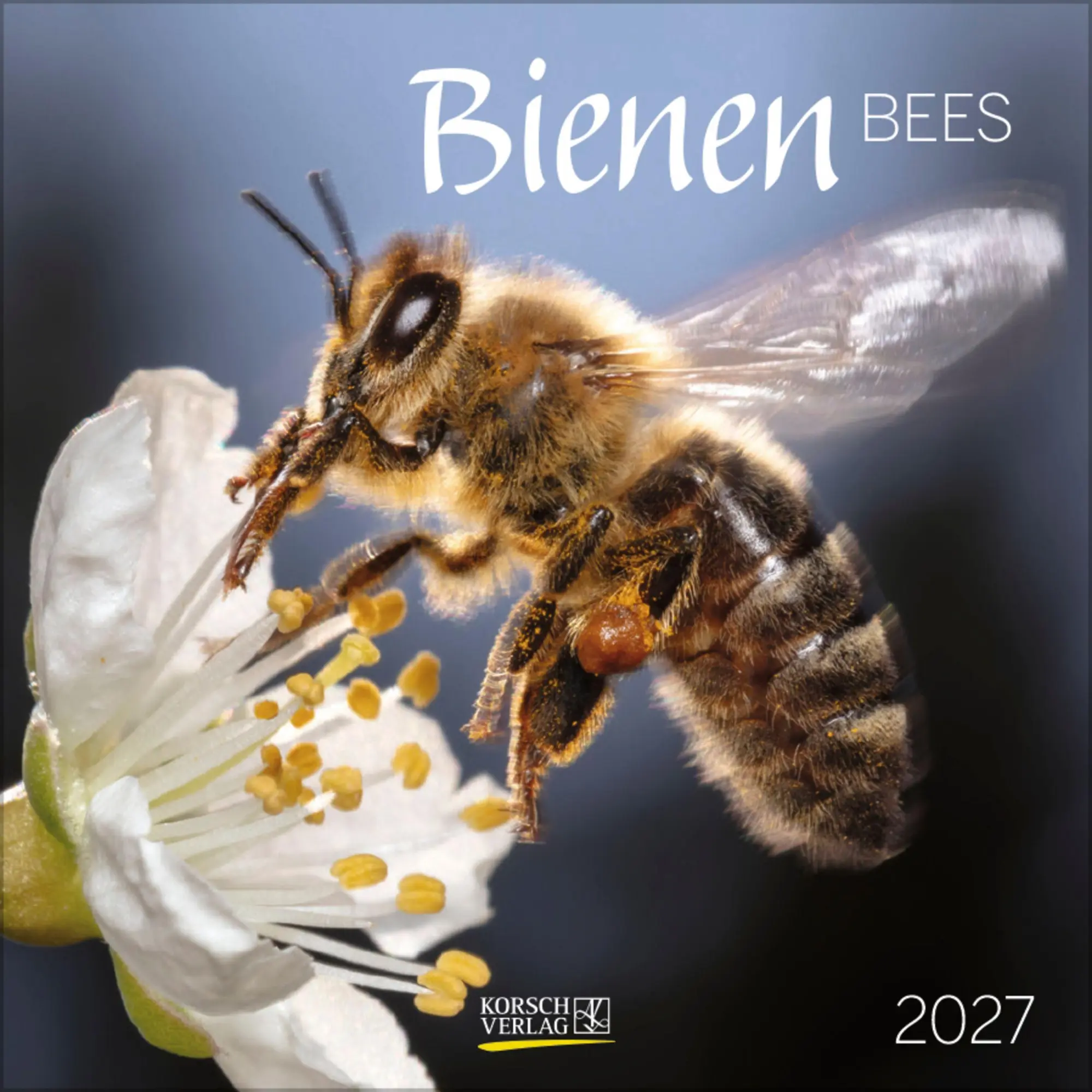 Cover: 9783819303814 | Bienen 2027 | Verlag Korsch | Kalender | 13 S. | Deutsch | 2027