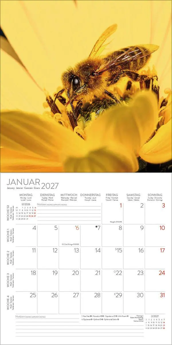 Bild: 9783819303814 | Bienen 2027 | Verlag Korsch | Kalender | 13 S. | Deutsch | 2027