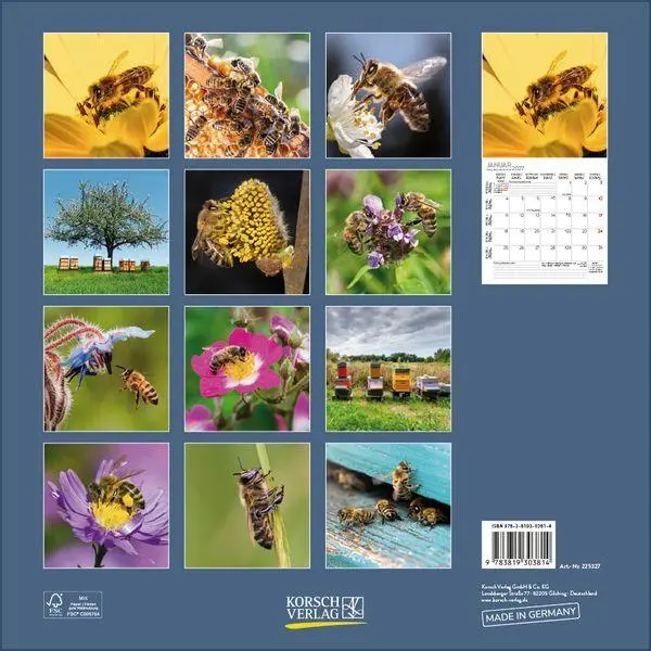 Bild: 9783819303814 | Bienen 2027 | Verlag Korsch | Kalender | 13 S. | Deutsch | 2027