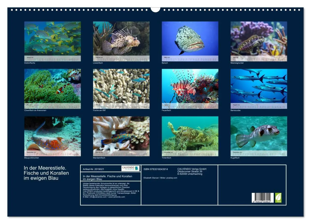 Bild: 9783516043914 | In der Meerestiefe. Fische und Korallen im ewigen Blau...