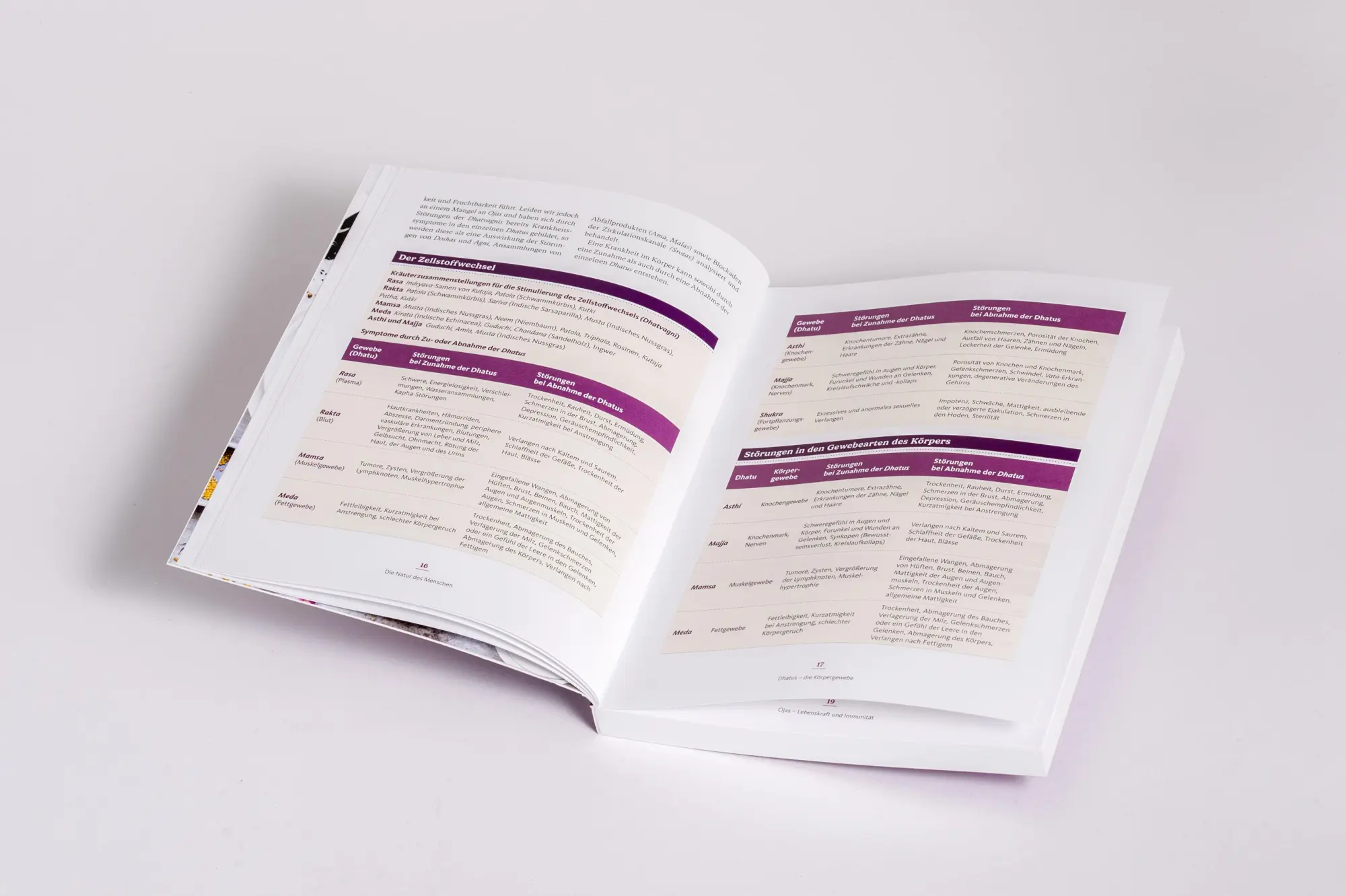 Bild: 9783517103914 | Ayurveda heilt | Kerstin Rosenberg (u. a.) | Taschenbuch | 224 S.