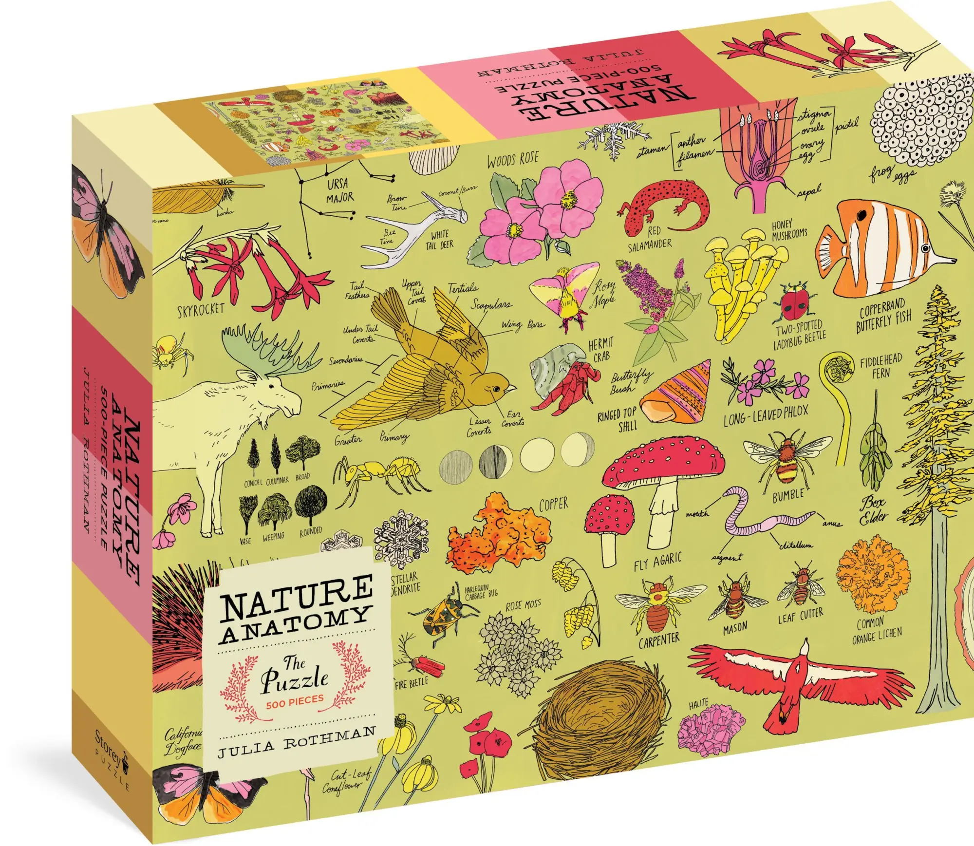 Cover: 9781635864014 | Nature Anatomy: The Puzzle (500 Pieces) | Julia Rothman | Spiel | 2020
