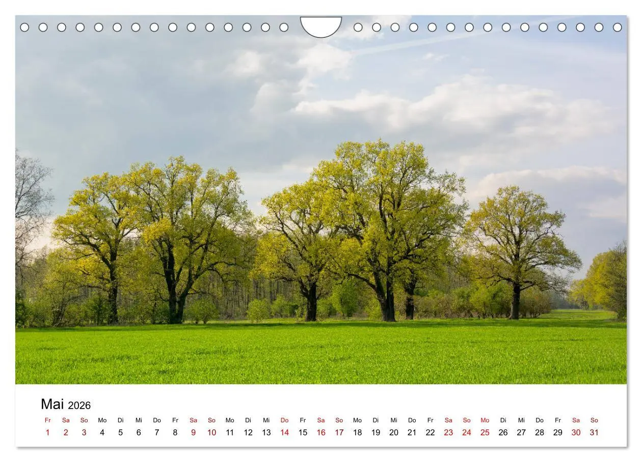 Bild: 9783457774014 | Unterwegs im Spreewald (Wandkalender 2026 DIN A4 quer), CALVENDO...