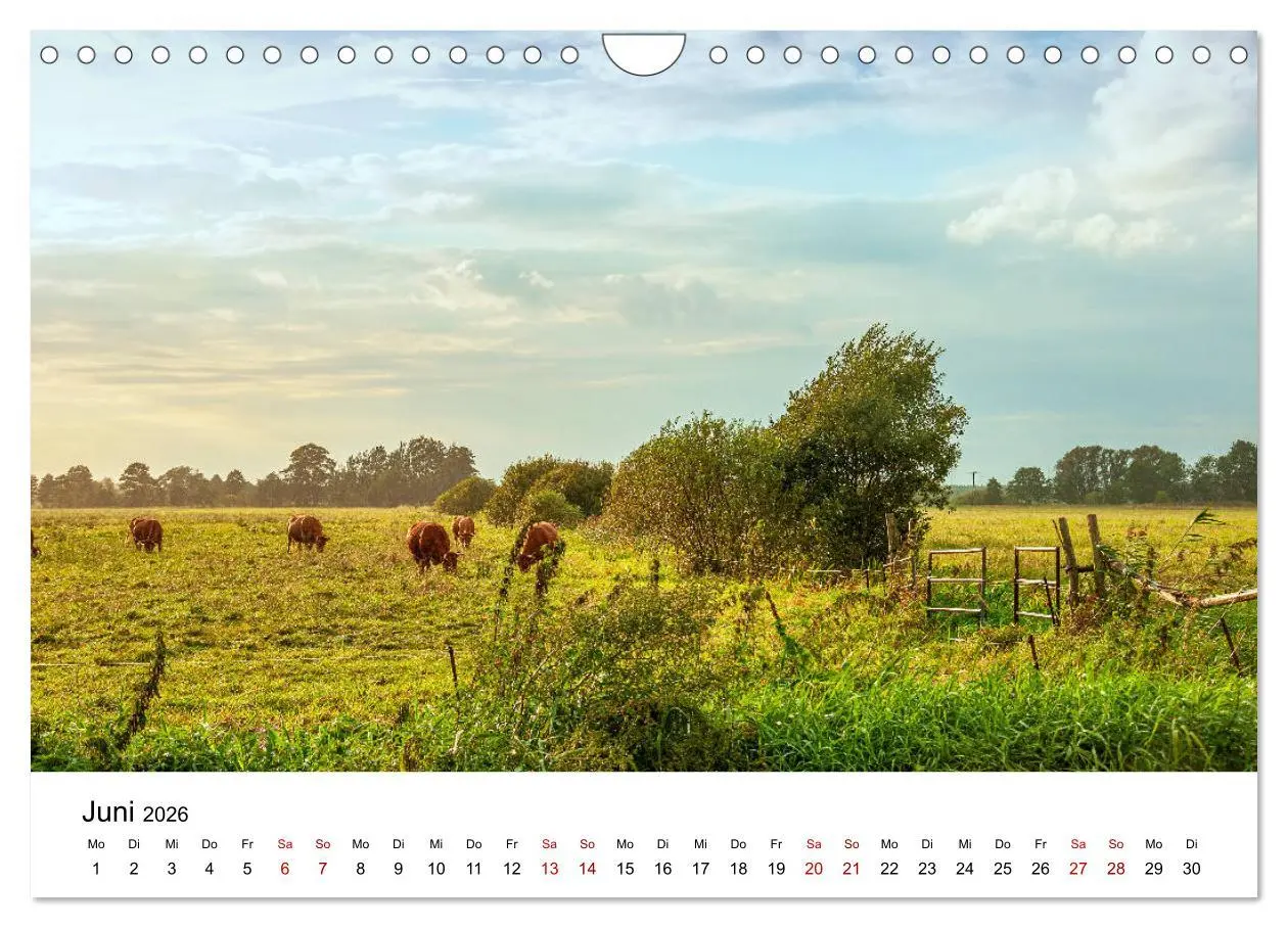 Bild: 9783457774014 | Unterwegs im Spreewald (Wandkalender 2026 DIN A4 quer), CALVENDO...