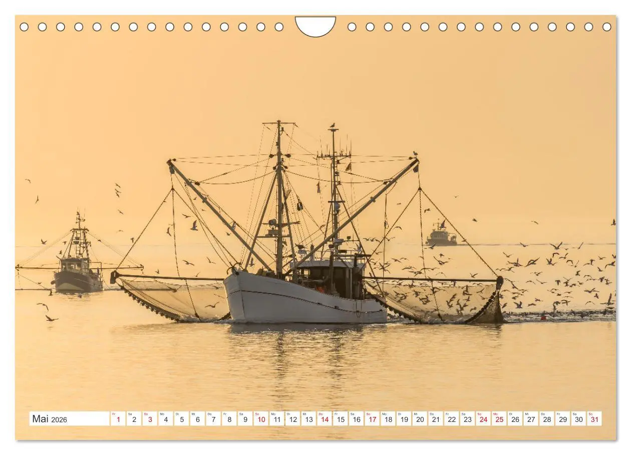 Bild: 9783457914014 | Schleswig-Holstein (Wandkalender 2026 DIN A4 quer), CALVENDO...