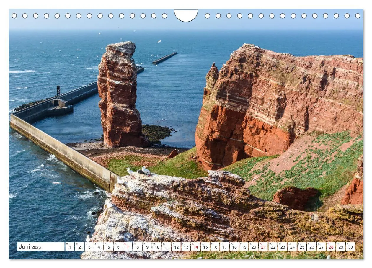 Bild: 9783457914014 | Schleswig-Holstein (Wandkalender 2026 DIN A4 quer), CALVENDO...
