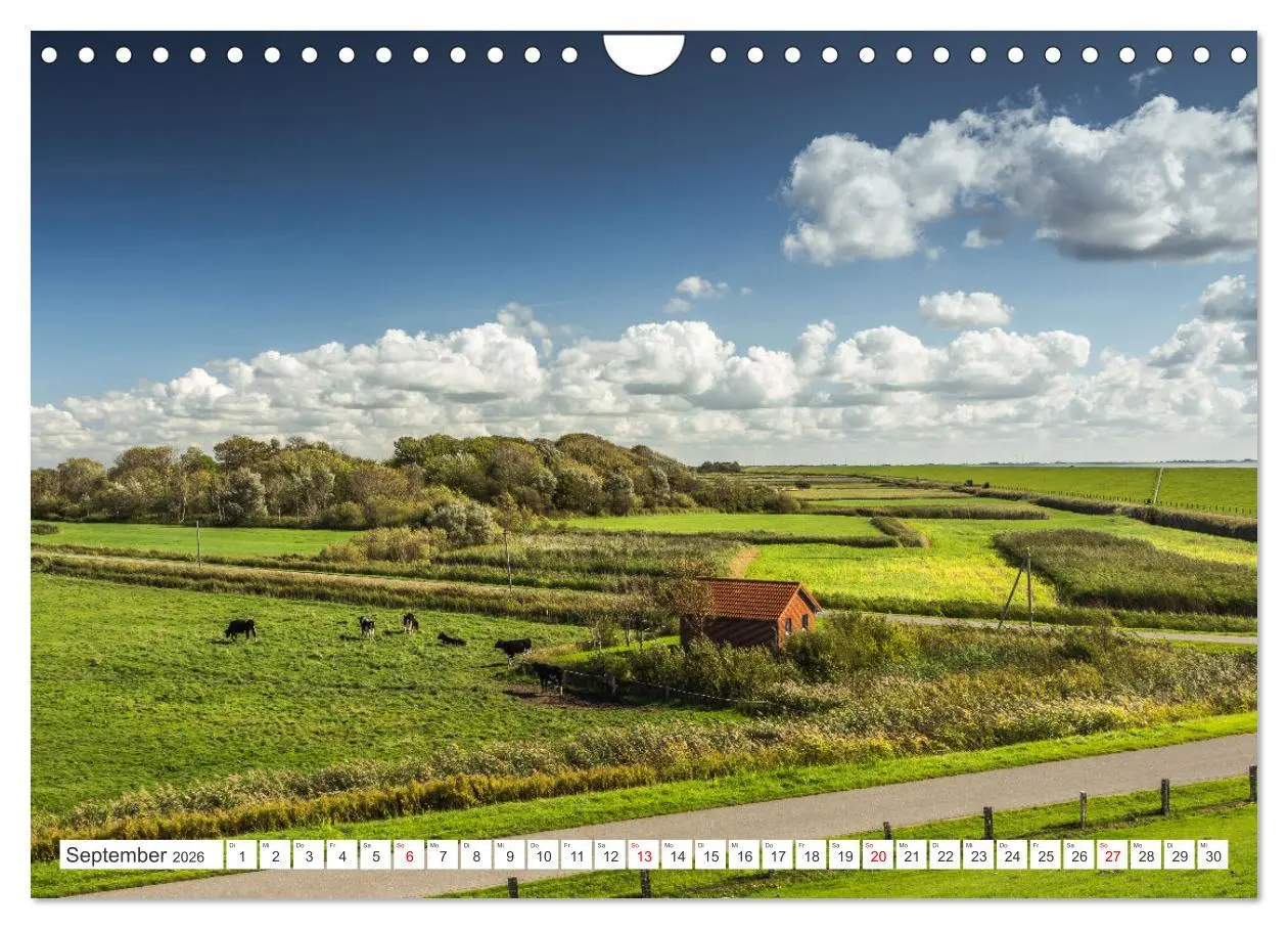Bild: 9783457914014 | Schleswig-Holstein (Wandkalender 2026 DIN A4 quer), CALVENDO...