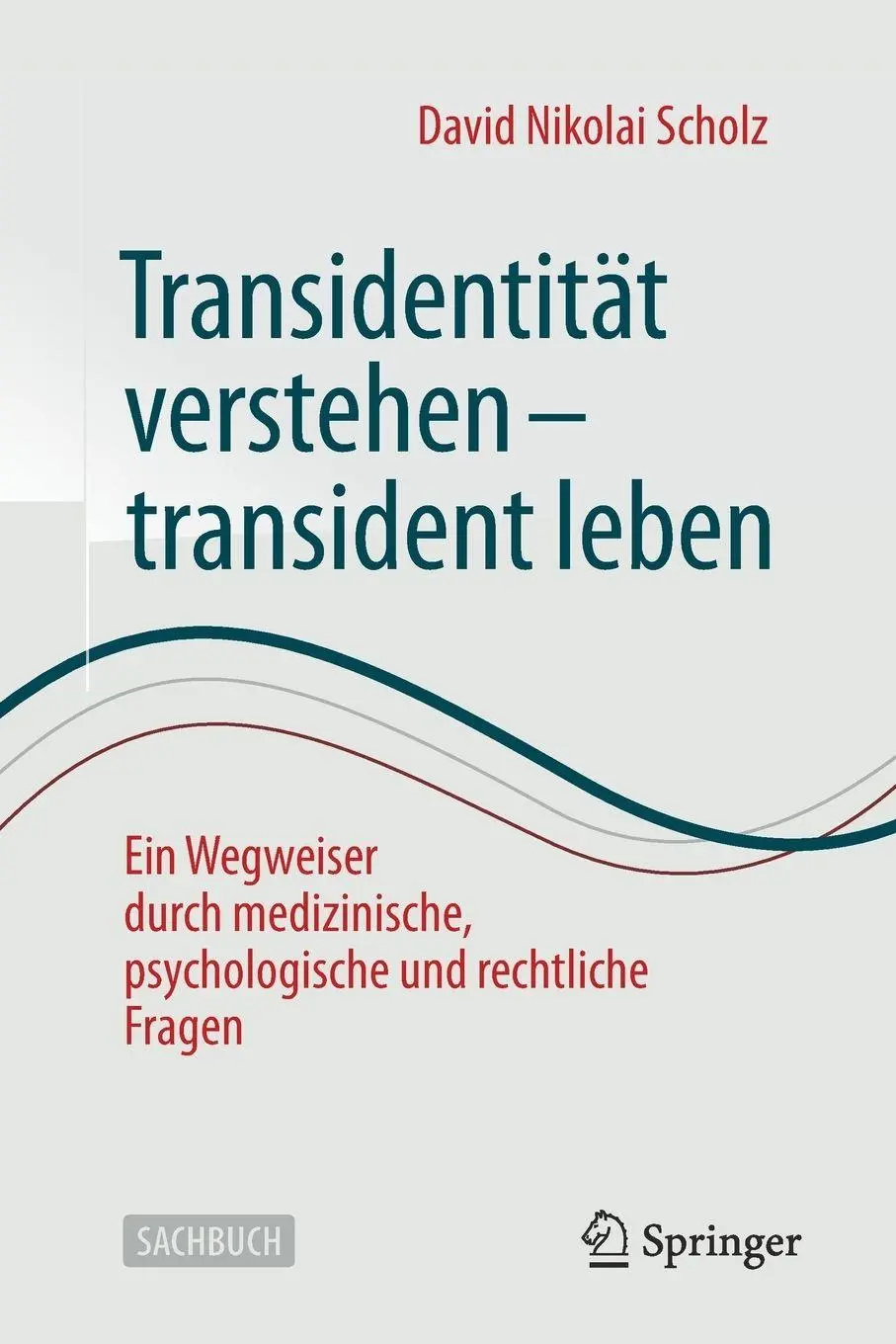 Cover: 9783658504014 | Transidentität verstehen - transident leben | David Nikolai Scholz