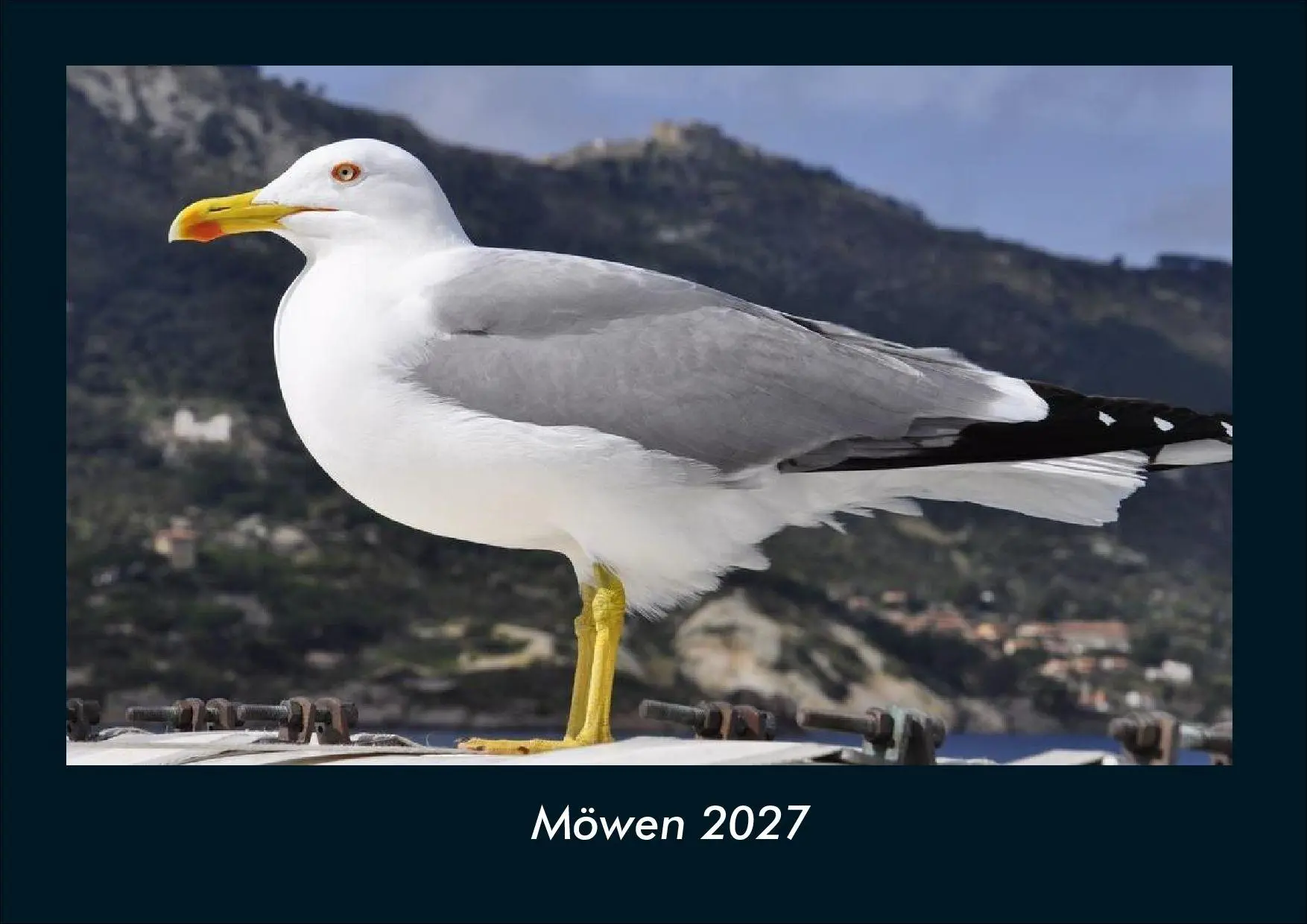 Cover: 9783695444014 | Möwen 2027 Fotokalender DIN A4 | Tobias Schmitt (u. a.) | Kalender
