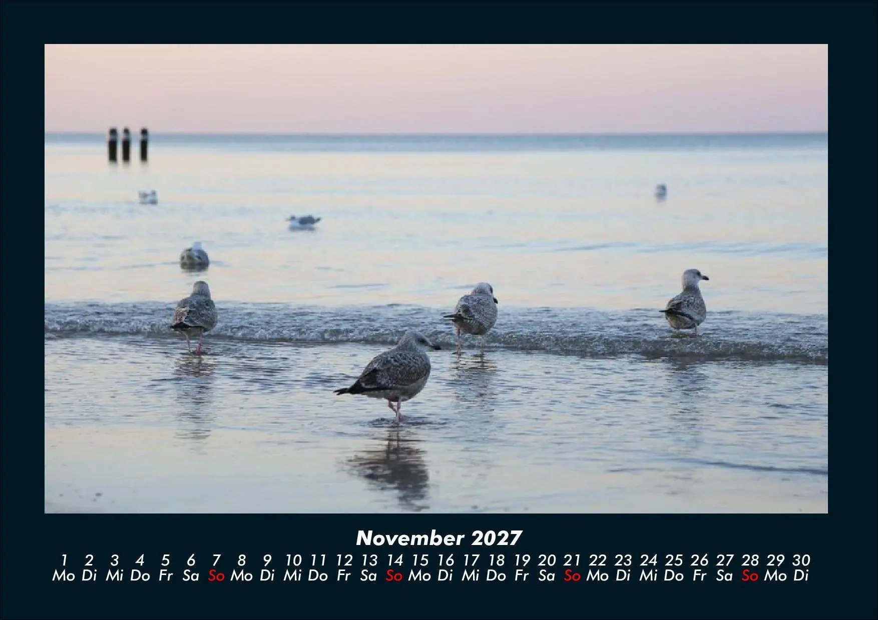 Bild: 9783695444014 | Möwen 2027 Fotokalender DIN A4 | Tobias Schmitt (u. a.) | Kalender