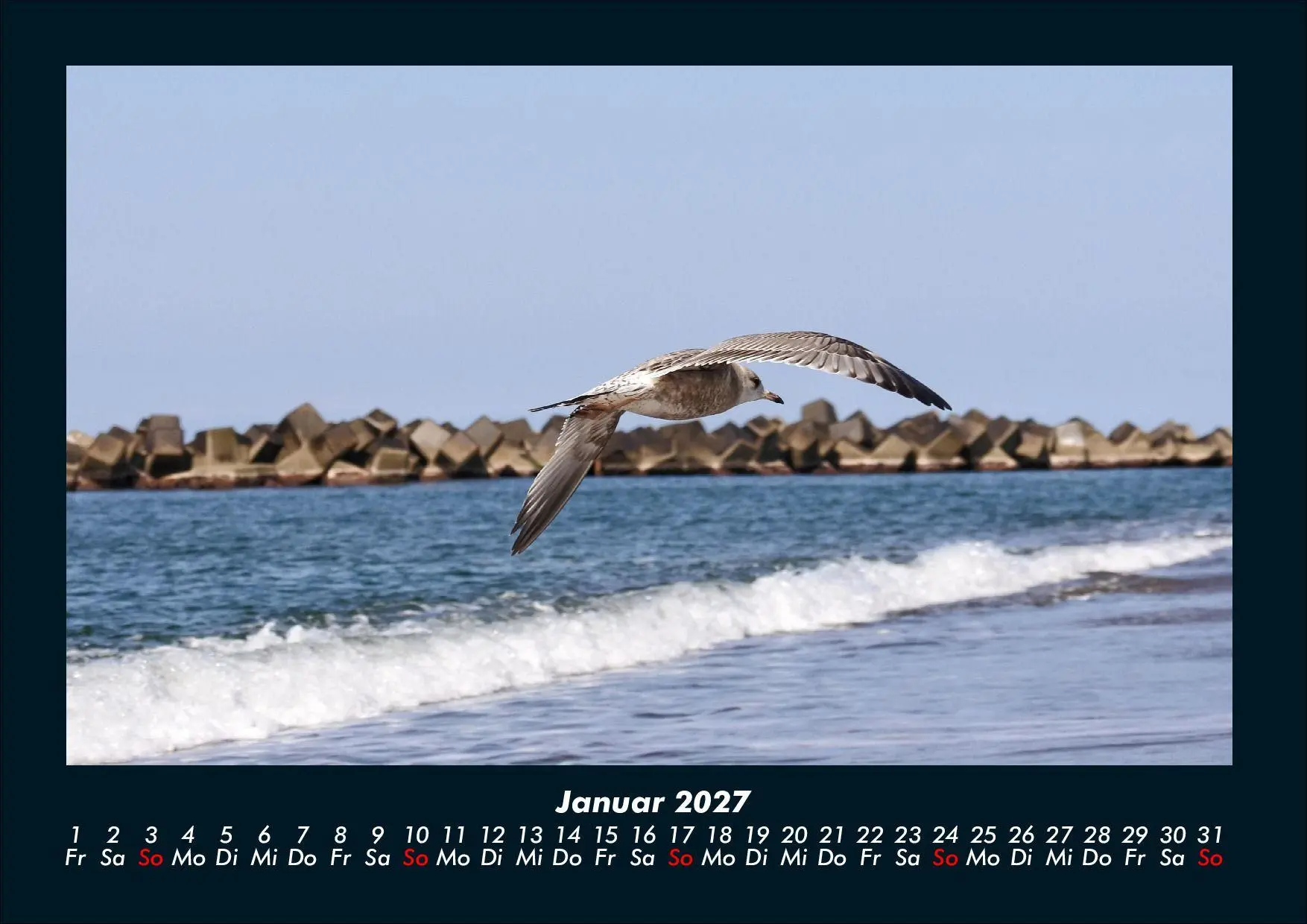 Bild: 9783695444014 | Möwen 2027 Fotokalender DIN A4 | Tobias Schmitt (u. a.) | Kalender