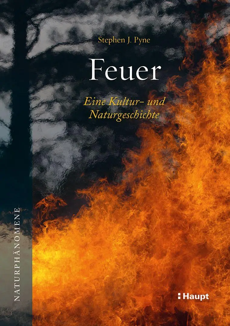 Cover: 9783258084114 | Feuer | Eine Kultur- und Naturgeschichte | Stephen J. Pyne | Buch