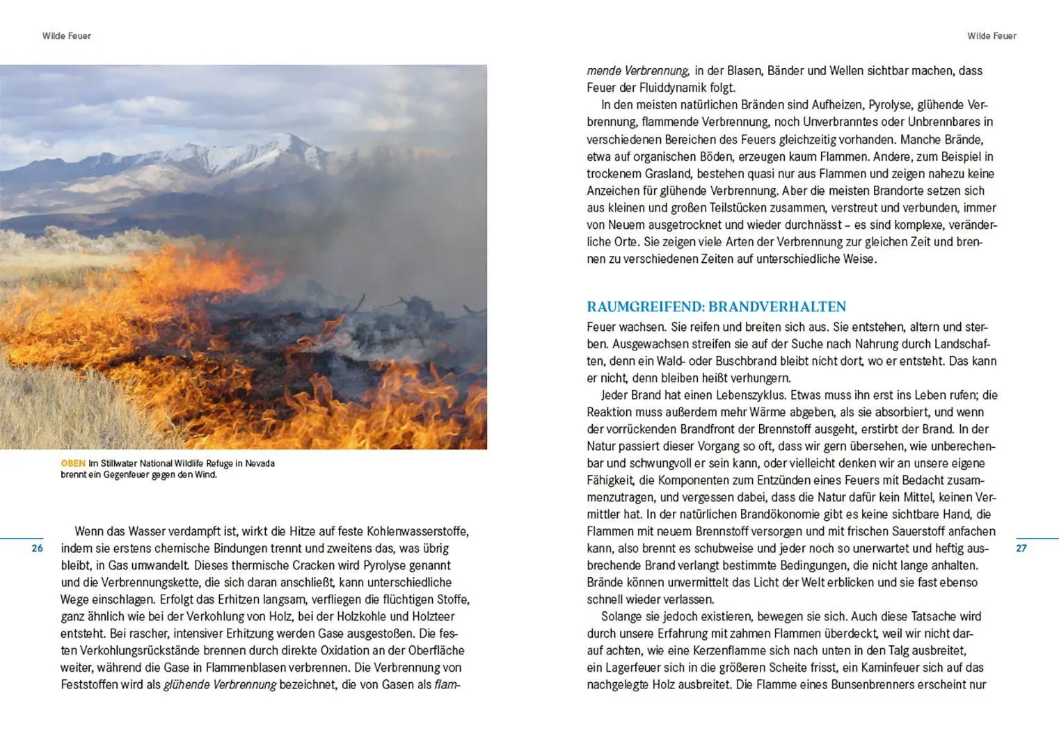 Bild: 9783258084114 | Feuer | Eine Kultur- und Naturgeschichte | Stephen J. Pyne | Buch