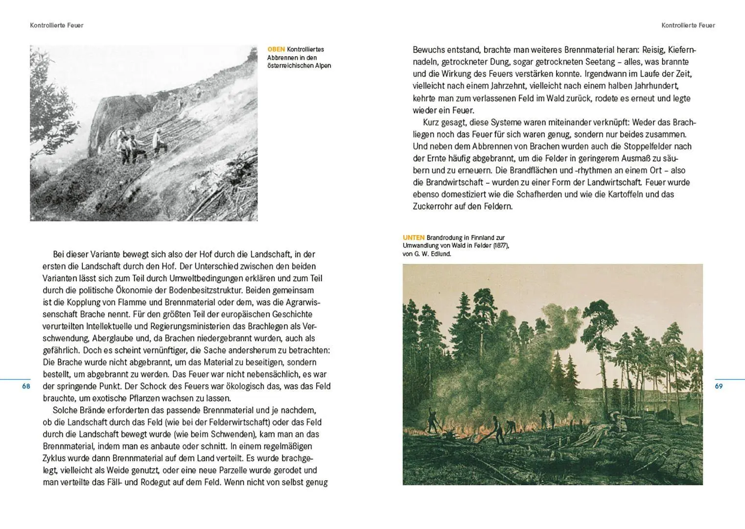 Bild: 9783258084114 | Feuer | Eine Kultur- und Naturgeschichte | Stephen J. Pyne | Buch