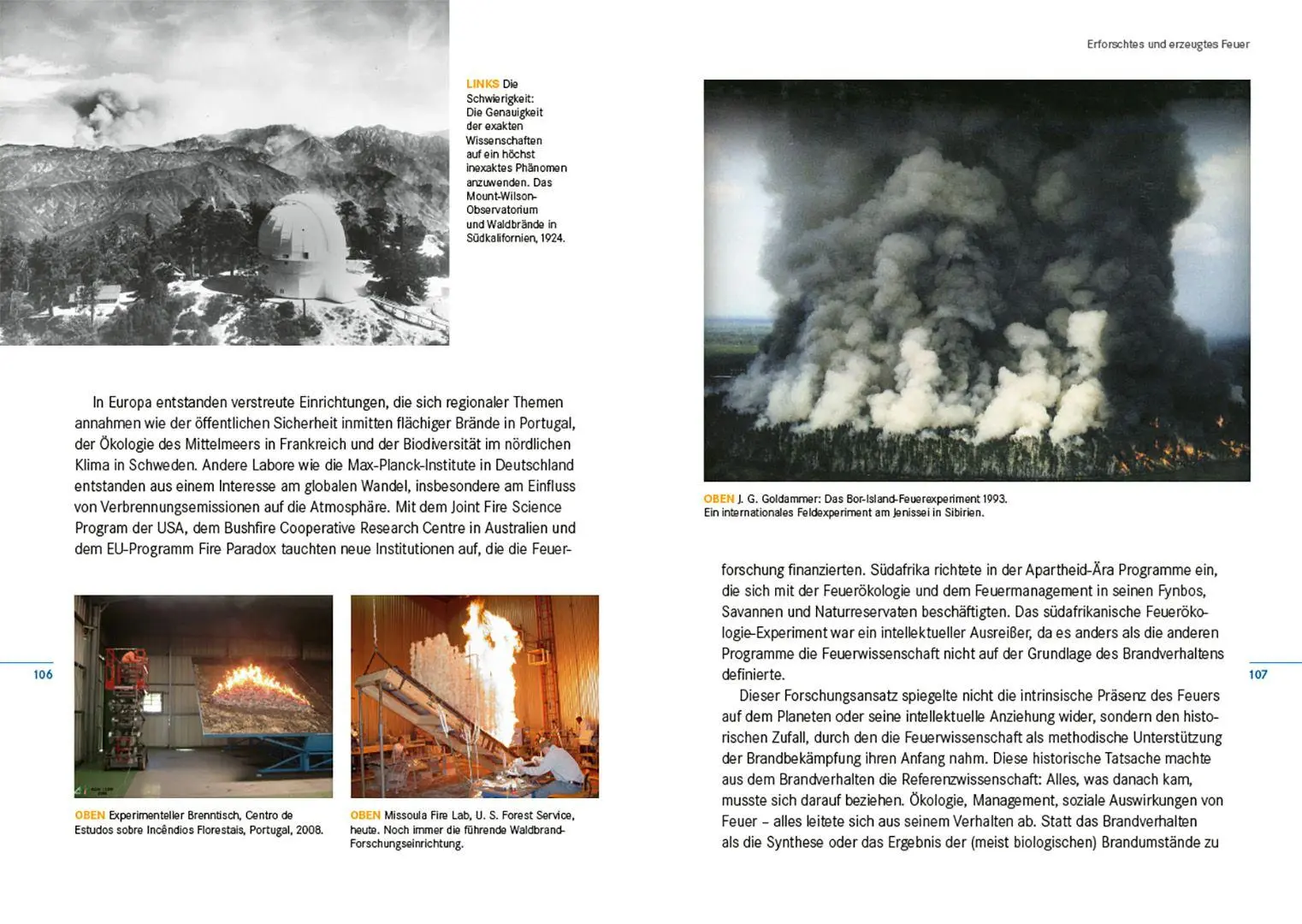 Bild: 9783258084114 | Feuer | Eine Kultur- und Naturgeschichte | Stephen J. Pyne | Buch