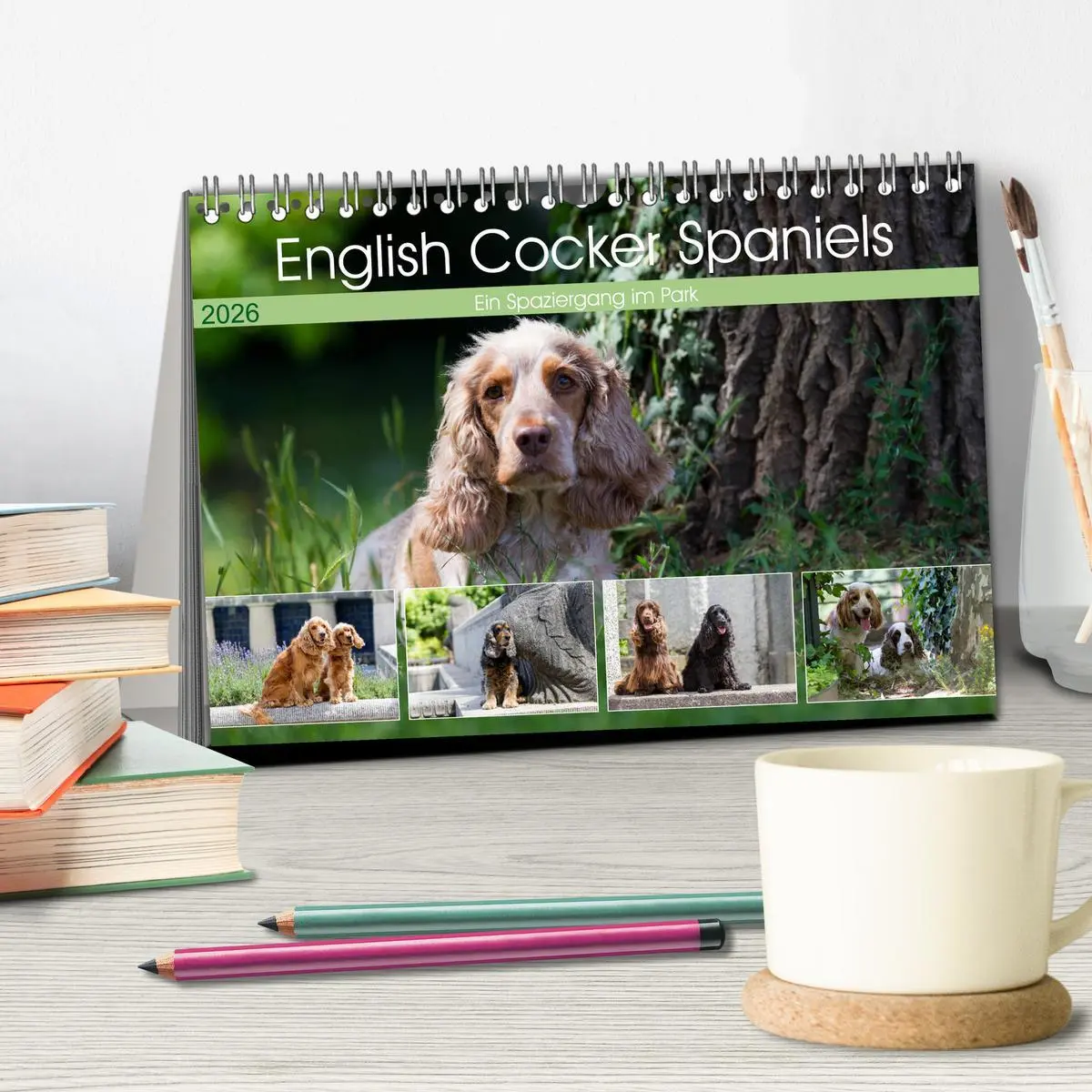 Bild: 9783457904114 | English Cocker Spaniels - Ein Spaziergang im Park (Tischkalender...