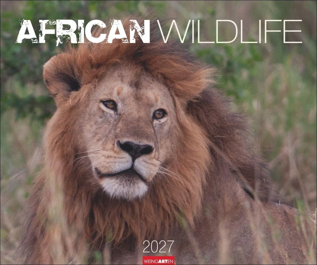 Cover: 9783839904114 | African Wildlife Kalender 2027 | Kalender | Tierkalender Weingarten
