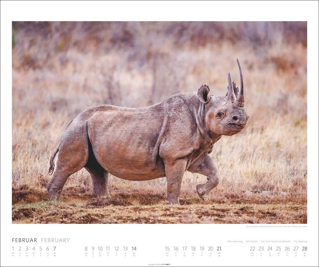 Bild: 9783839904114 | African Wildlife Kalender 2027 | Kalender | Tierkalender Weingarten