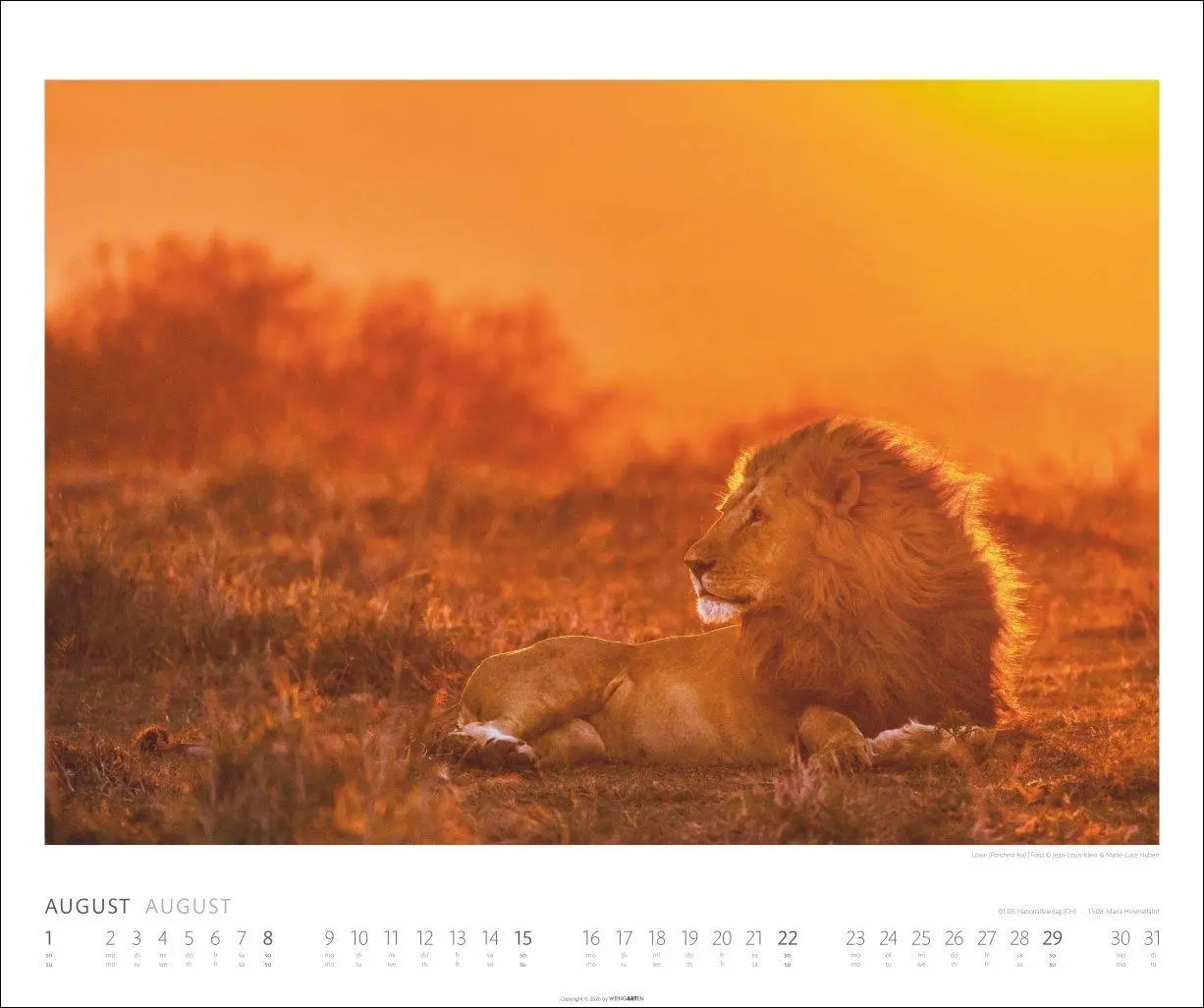 Bild: 9783839904114 | African Wildlife Kalender 2027 | Kalender | Tierkalender Weingarten