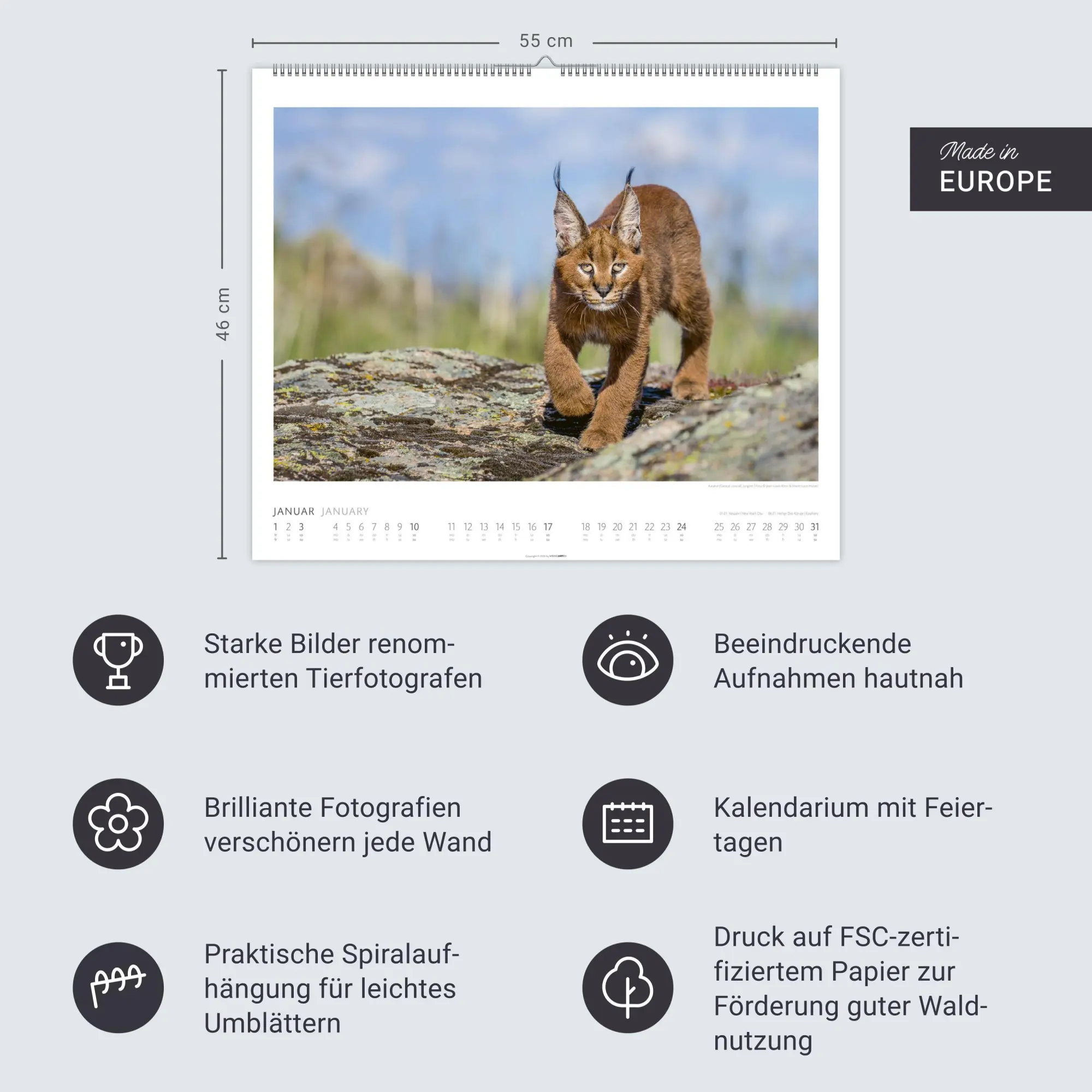 Bild: 9783839904114 | African Wildlife Kalender 2027 | Kalender | Tierkalender Weingarten