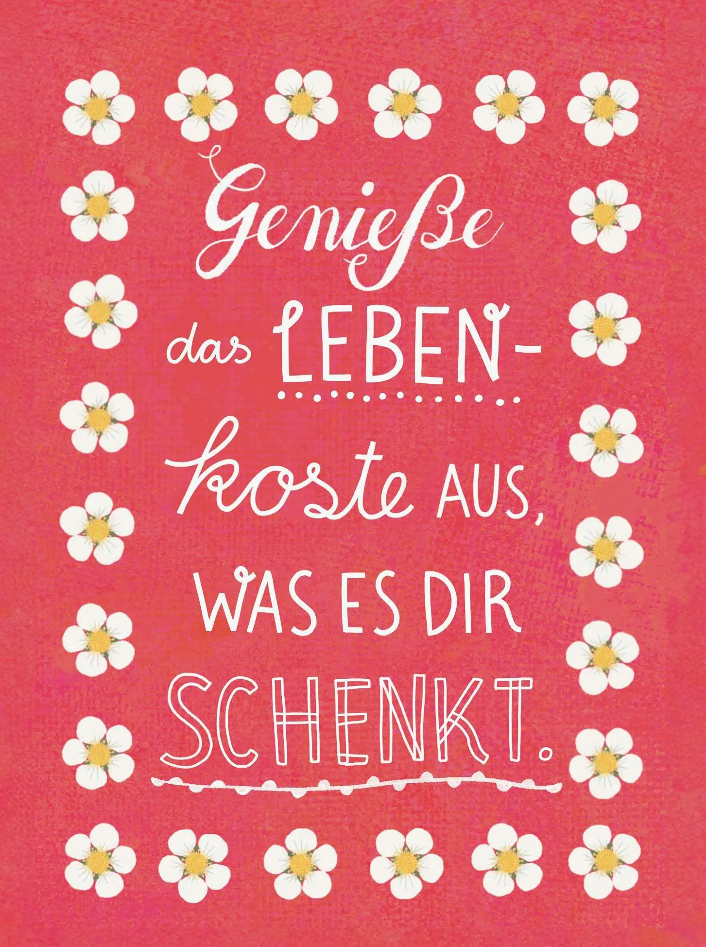 Bild: 9783848504114 | Lebe wild und voller Wunder | Groh Verlag | Taschenbuch | 48 S. | 2025