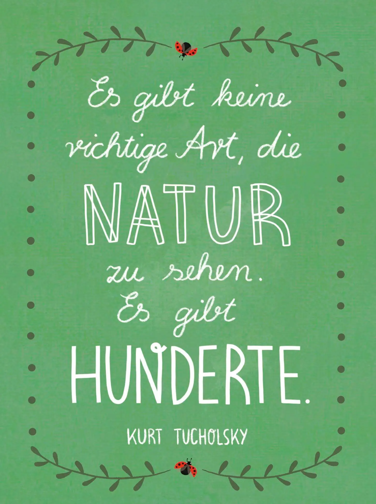Bild: 9783848504114 | Lebe wild und voller Wunder | Groh Verlag | Taschenbuch | 48 S. | 2025
