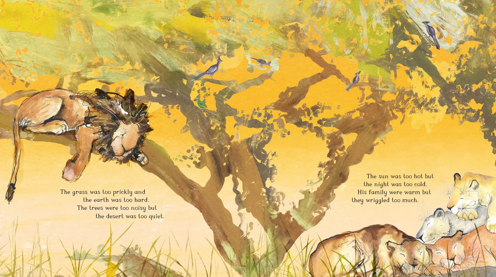 Bild: 9781509804214 | Arlo The Lion Who Couldn't Sleep | Catherine Rayner | Taschenbuch