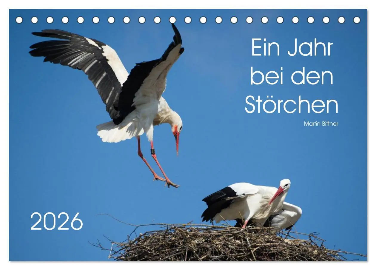 Cover: 9783457994214 | Ein Jahr bei den Störchen (Tischkalender 2026 DIN A5 quer),...
