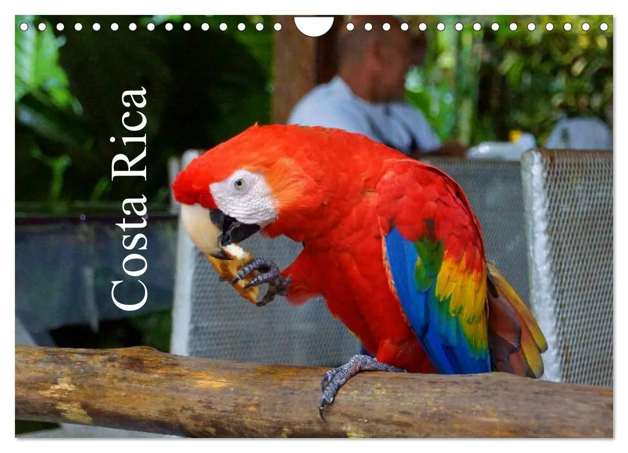 Cover: 9783516154214 | Costa Rica (Wandkalender 2026 DIN A4 quer), CALVENDO Monatskalender