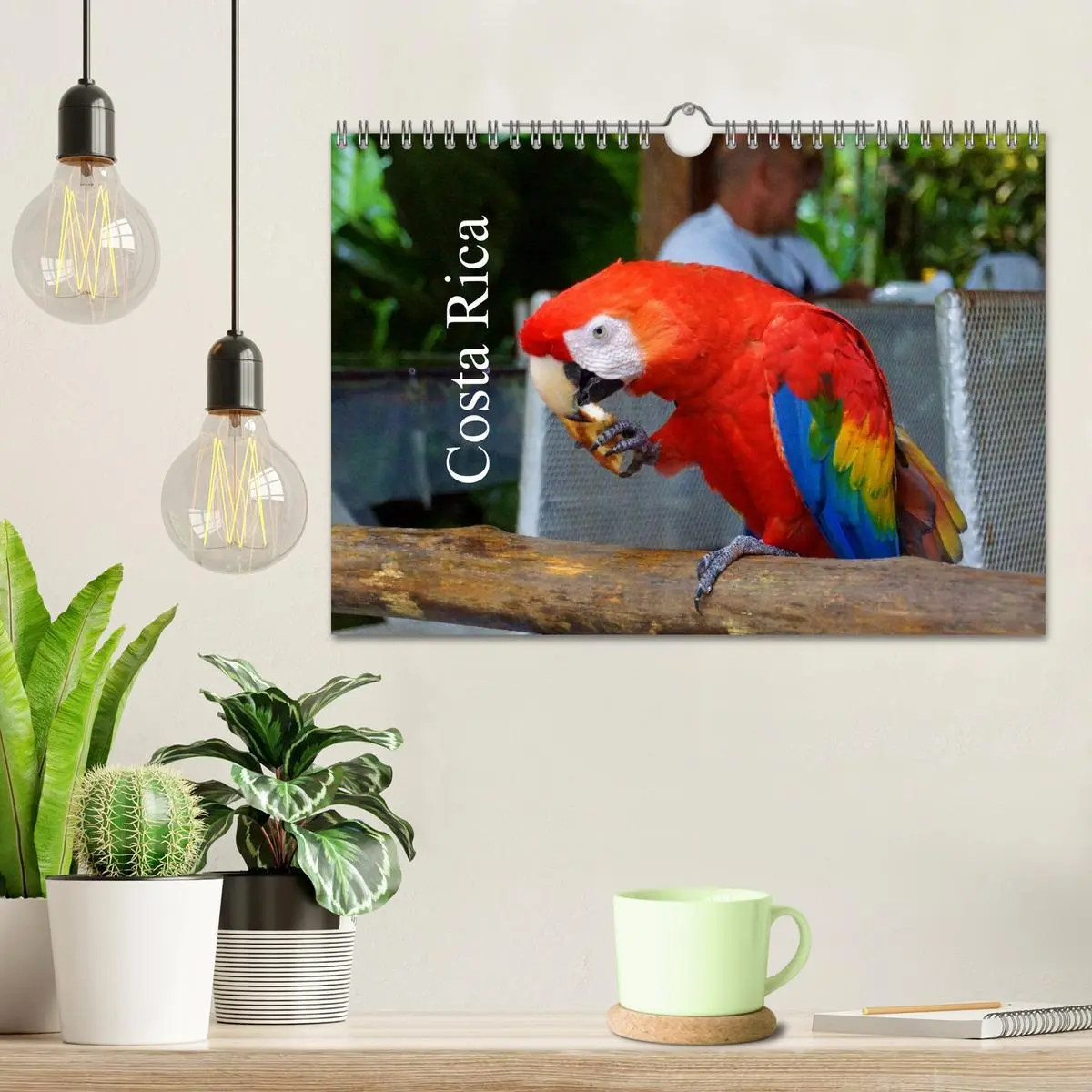 Bild: 9783516154214 | Costa Rica (Wandkalender 2026 DIN A4 quer), CALVENDO Monatskalender