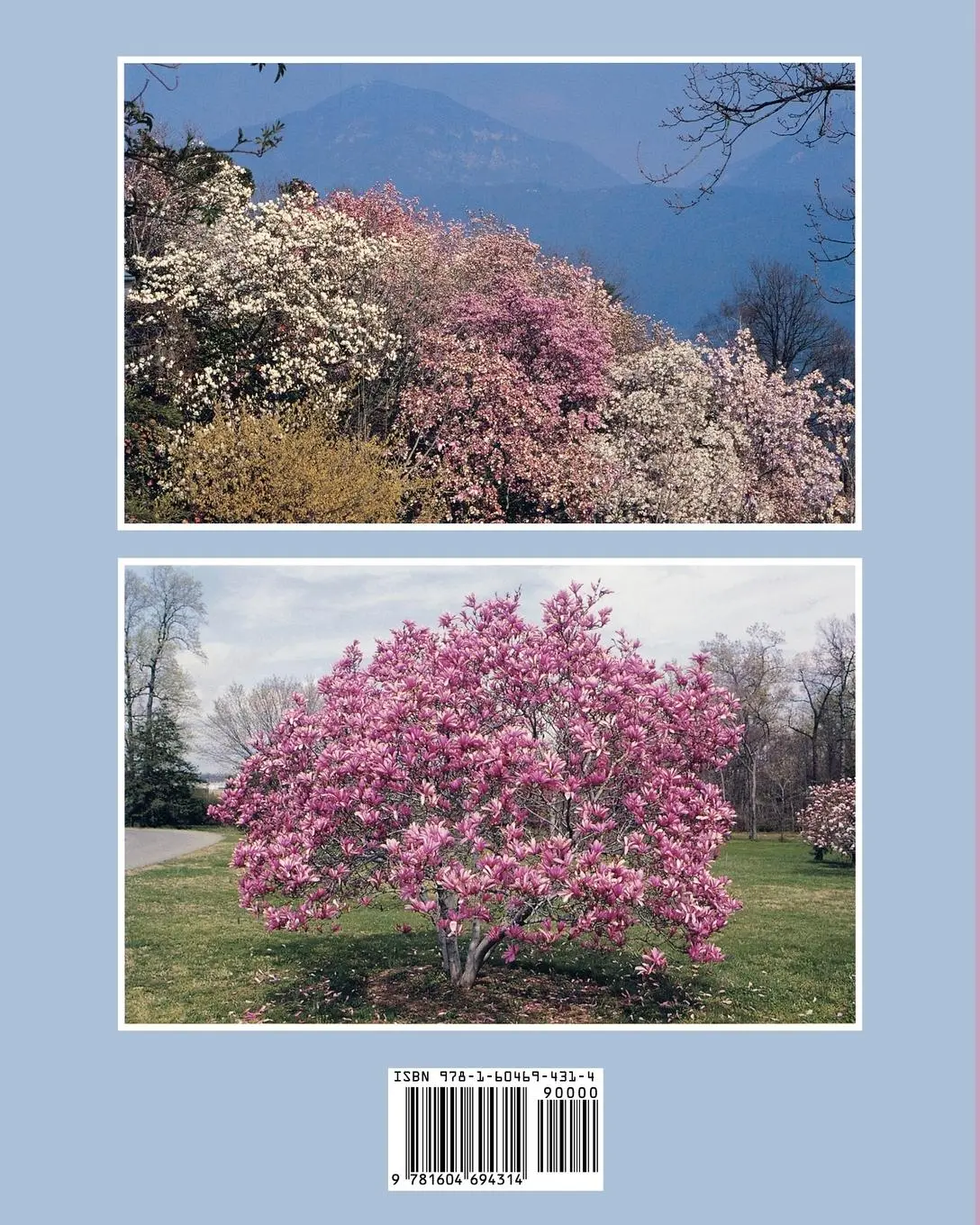 Rückseite: 9781604694314 | Magnolias | A Gardener's Guide | Jim Gardiner | Taschenbuch | Englisch