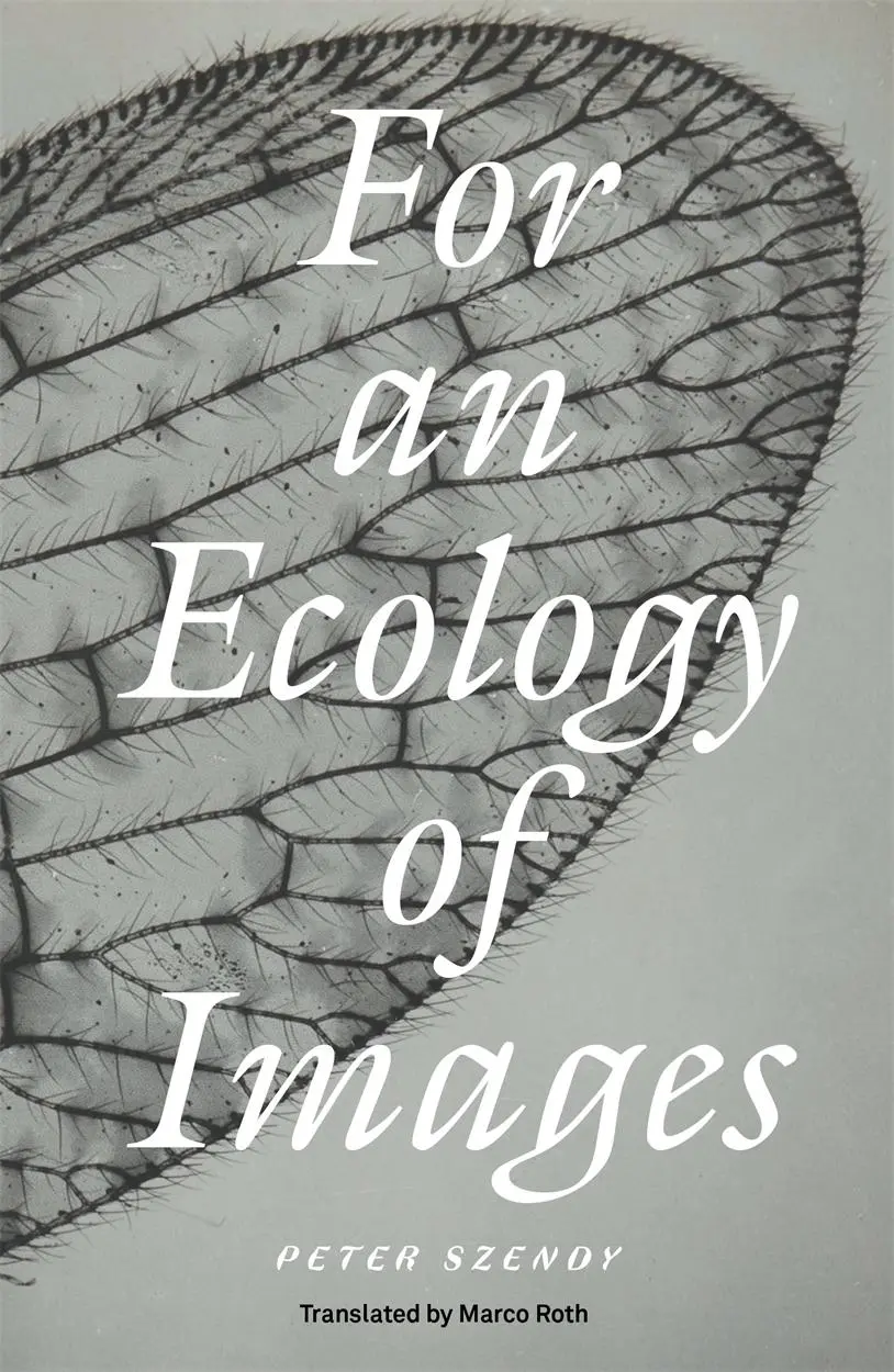 Cover: 9781804294314 | For an Ecology of Images | Peter Szendy | Taschenbuch | Englisch