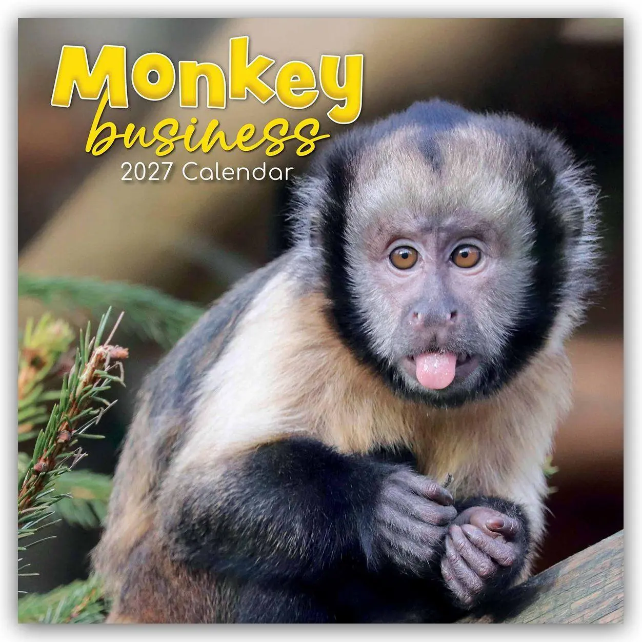 Cover: 9781805974314 | Monkey Business 2027 - 16-Monatskalender | The Gifted | Kalender